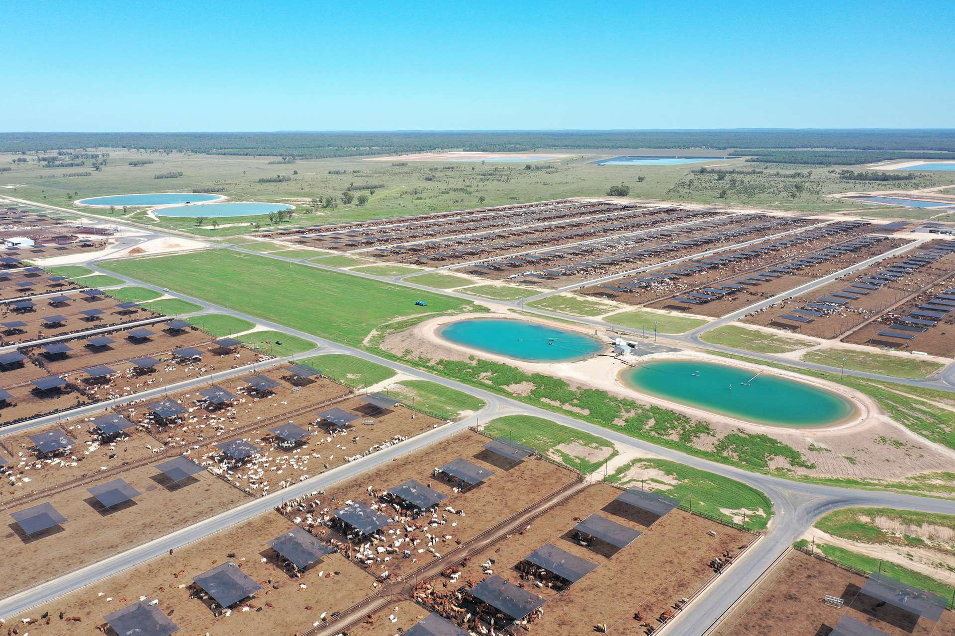 556 Grassdale Road, Grassdale For Sale by Farmbuy.com - image 1