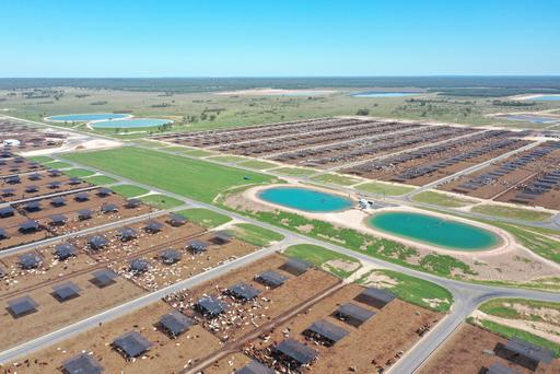 556 Grassdale Road, Grassdale QLD 4405