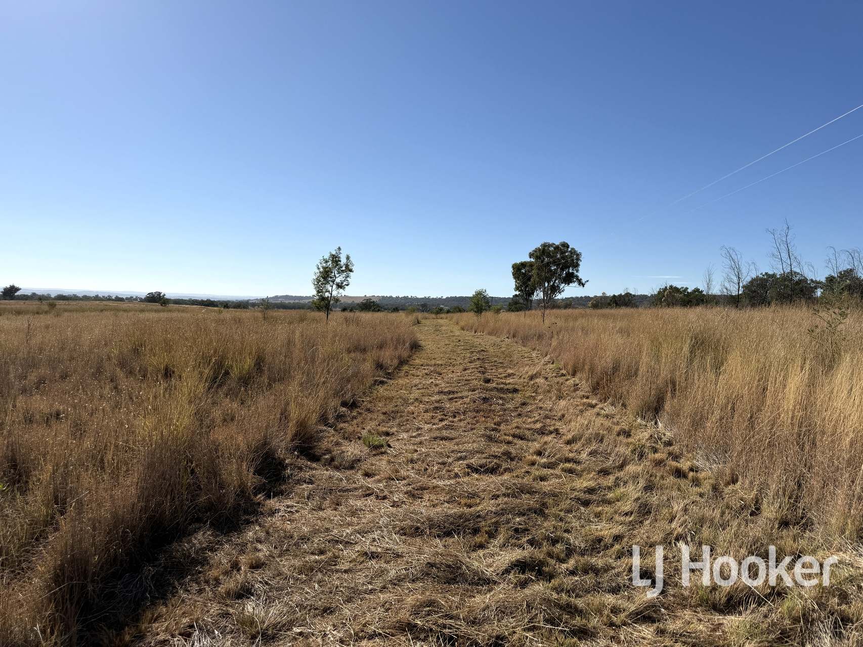 Gwydir Highway, Inverell For Sale by Farmbuy.com - image 5