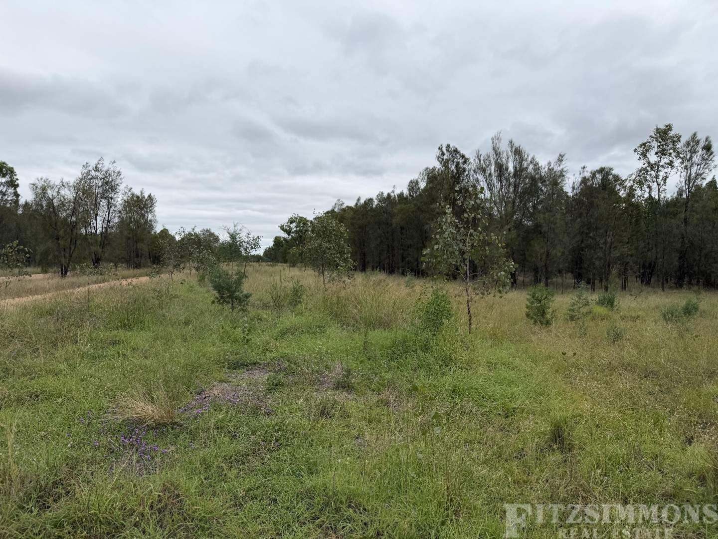 Ducklo For Sale by Farmbuy.com - image 3