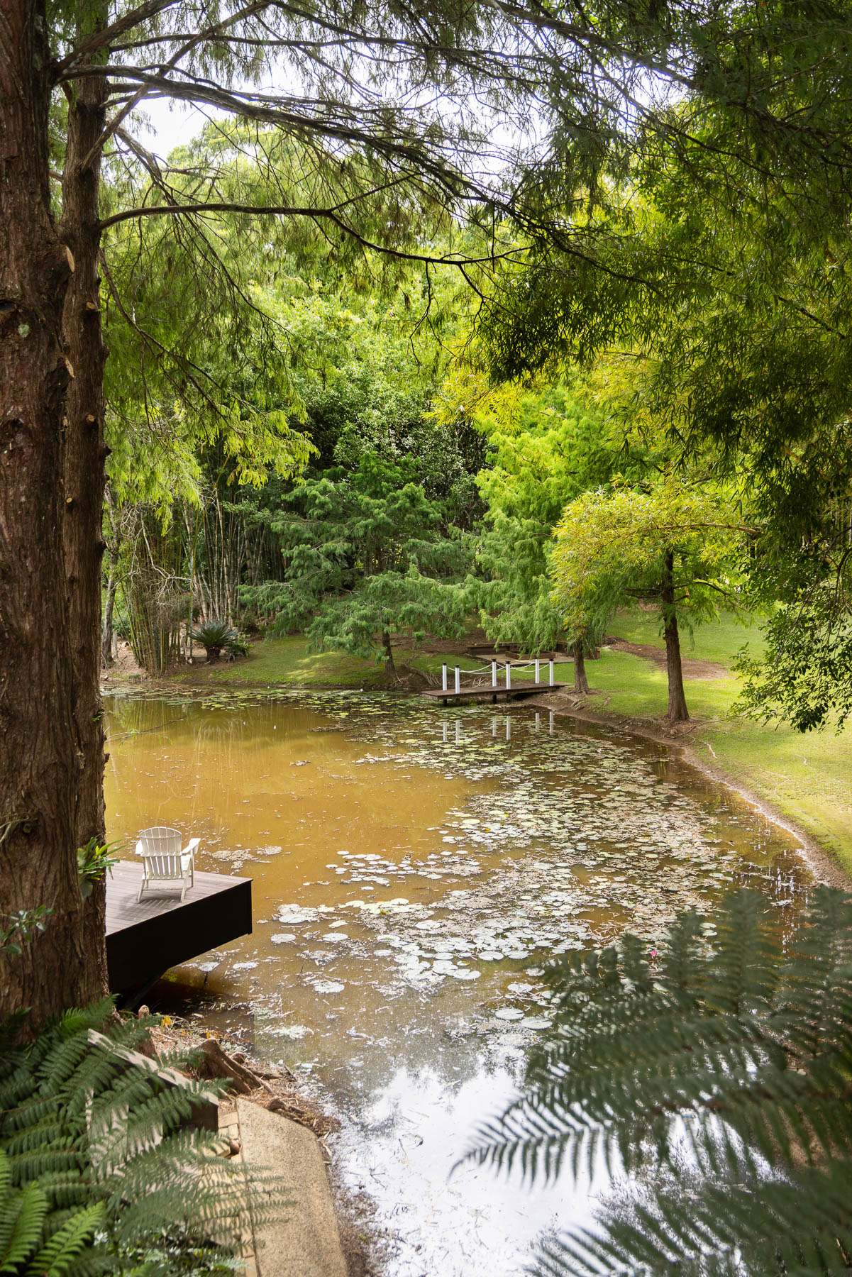 210 Lone Hand Road, Eumundi For Sale by Farmbuy.com - image 31