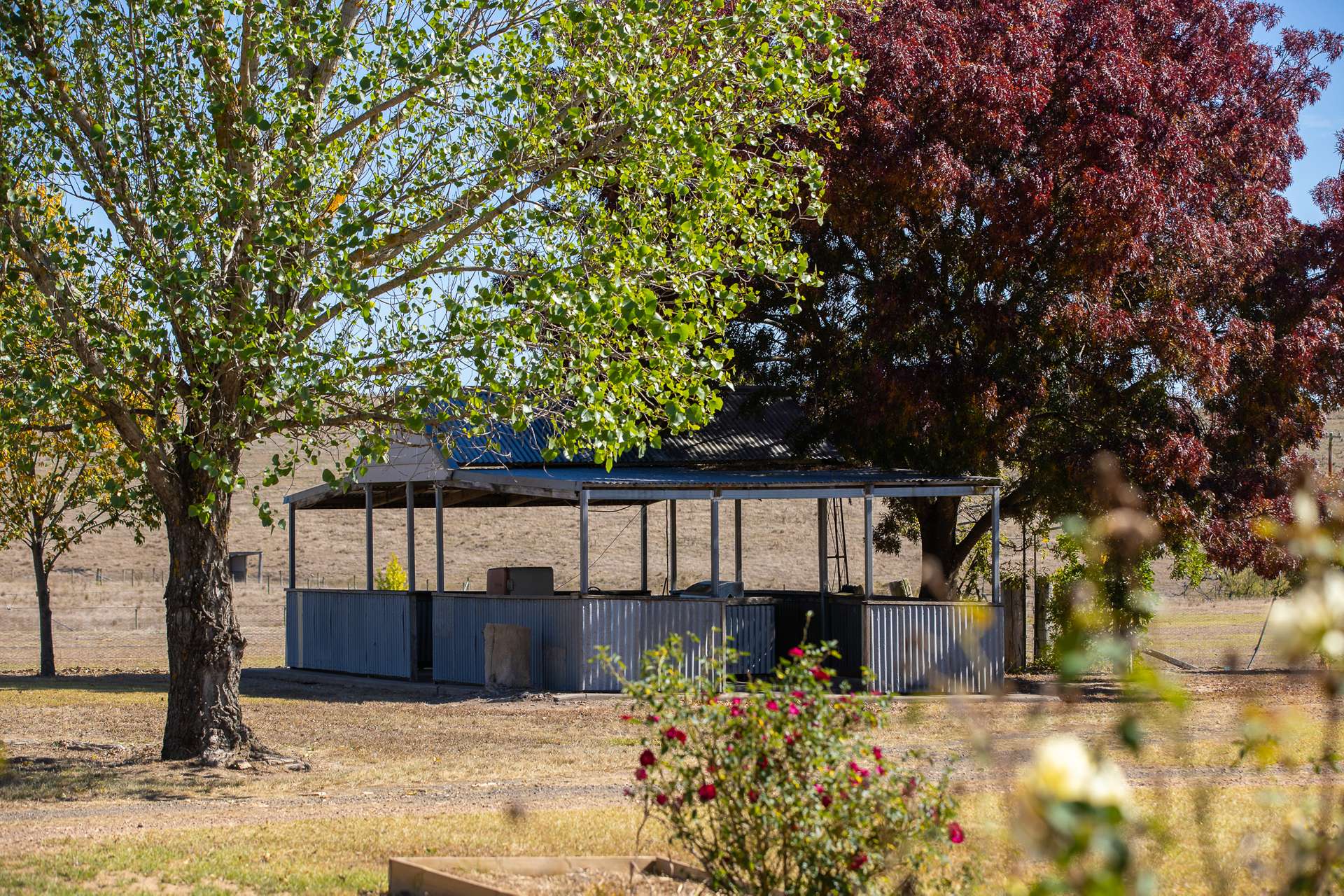 "Abermala Homestead" Enmore Road, Uralla Tender by Farmbuy.com - image 9