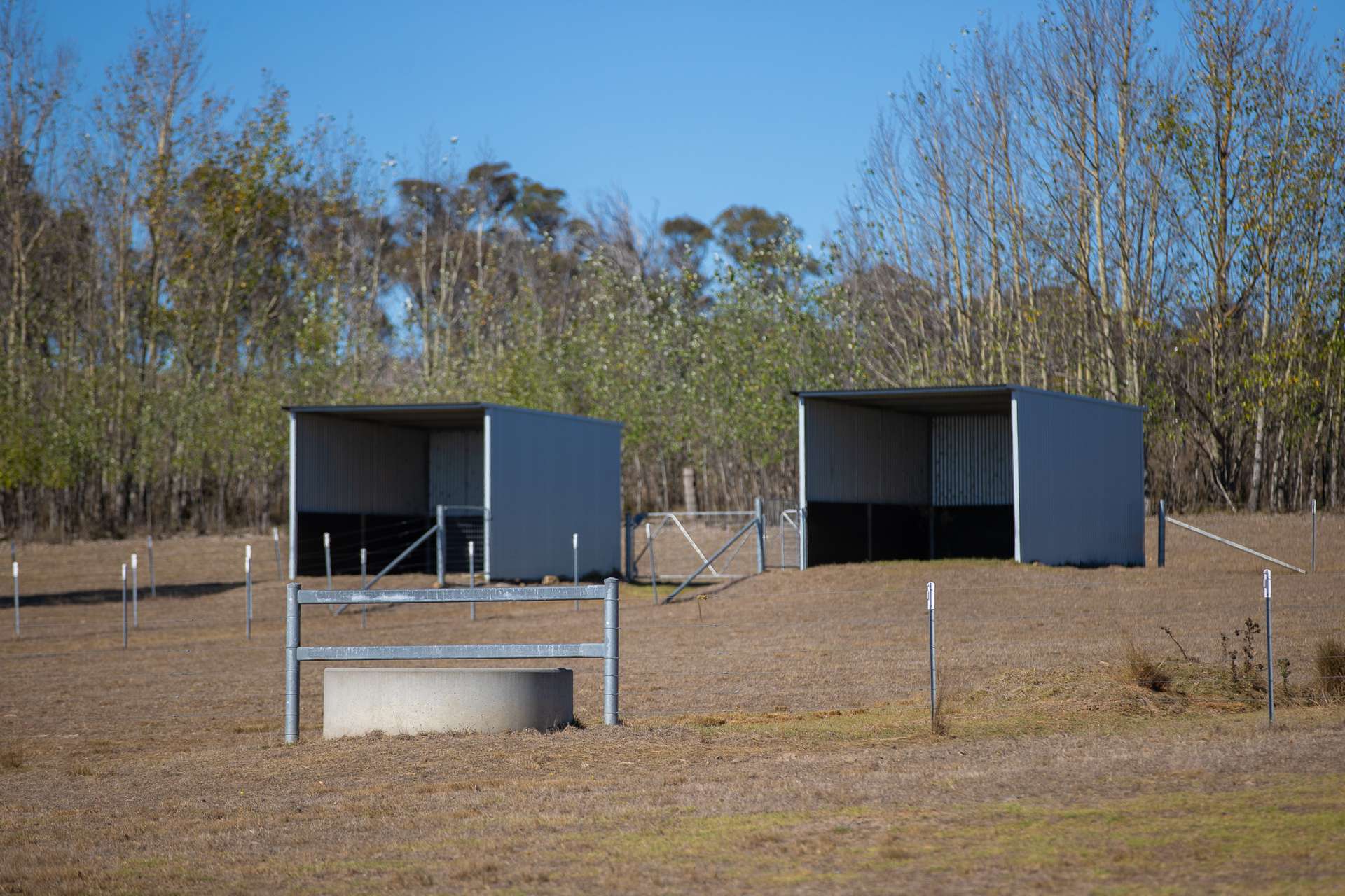 "Abermala Homestead" Enmore Road, Uralla Tender by Farmbuy.com - image 14