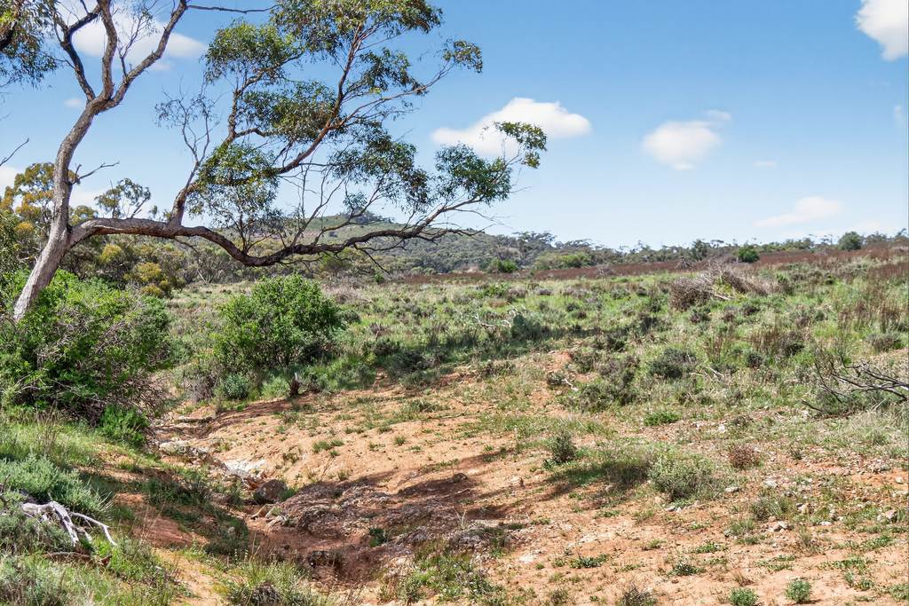 'Ferguson' Philps Road, Minvalara SA 5422