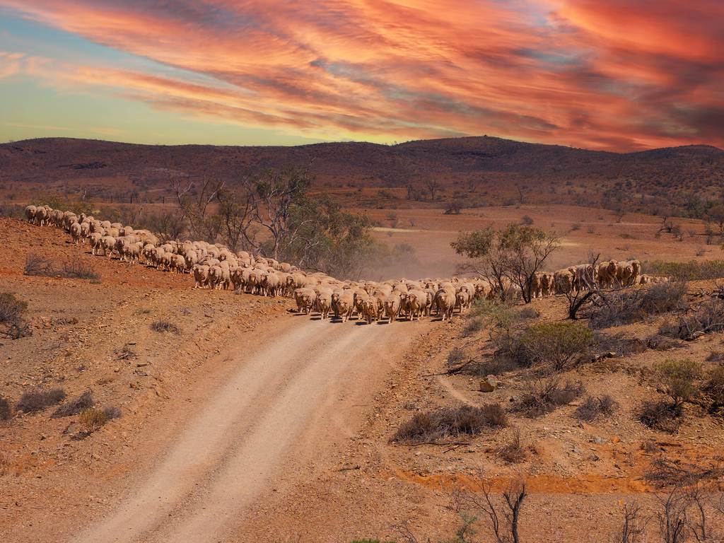 Mt Freeling Station Talc Mine Road, Lyndhurst SA 5731