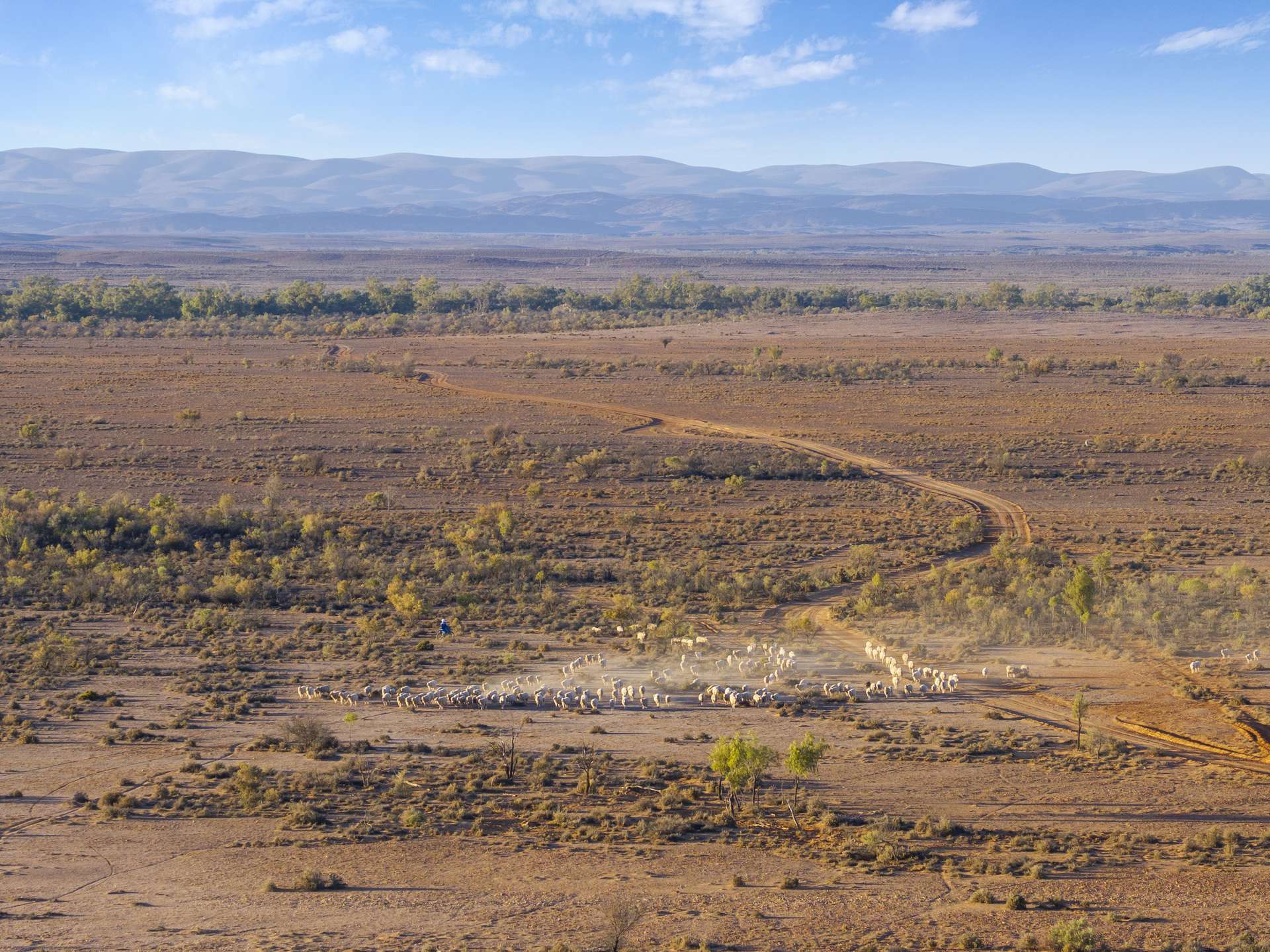 Mt Freeling Station Talc Mine Road, Lyndhurst For Sale by Farmbuy.com - image 12