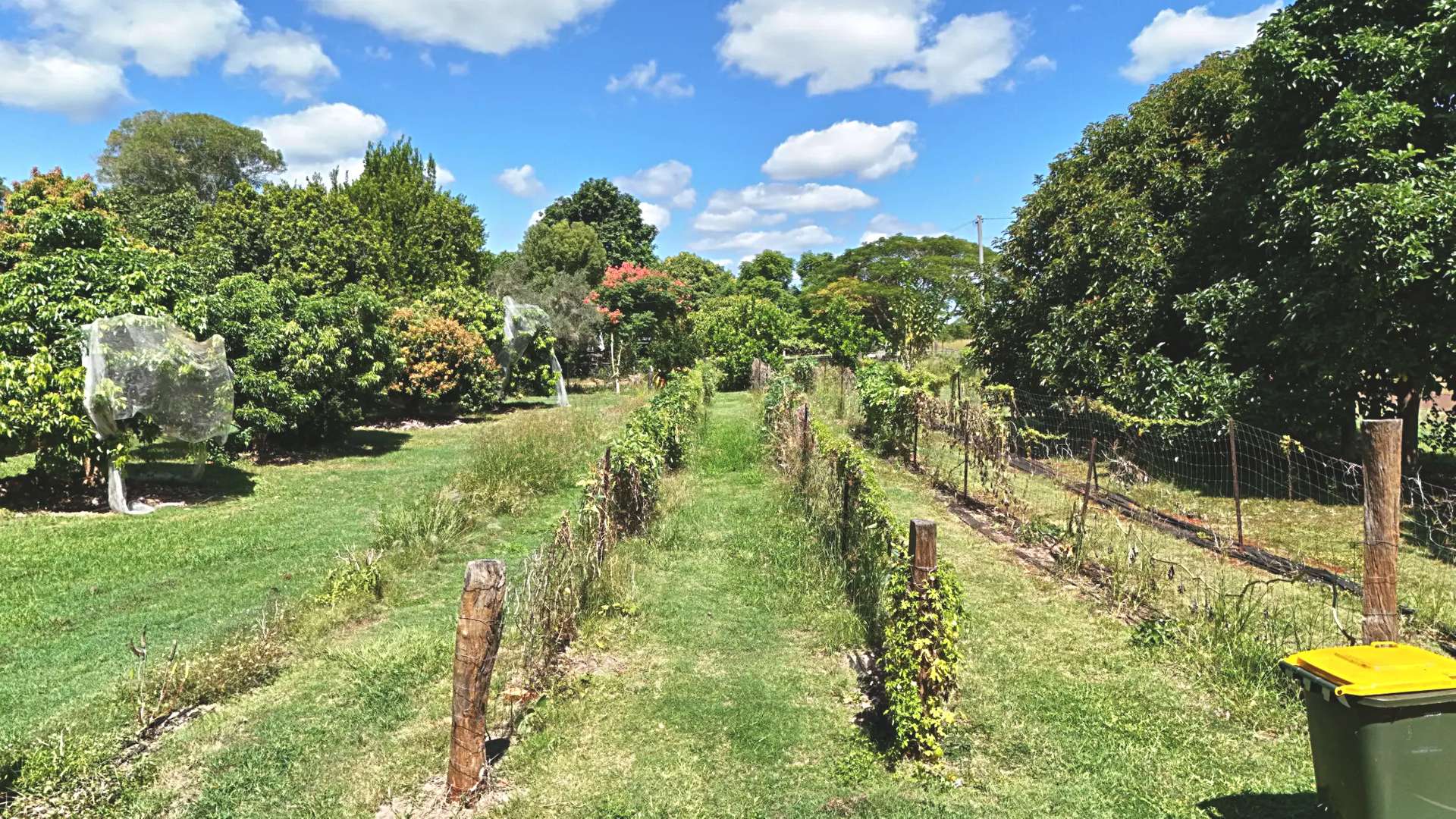 49 South Isis Road, South Isis For Sale by Farmbuy.com - image 5