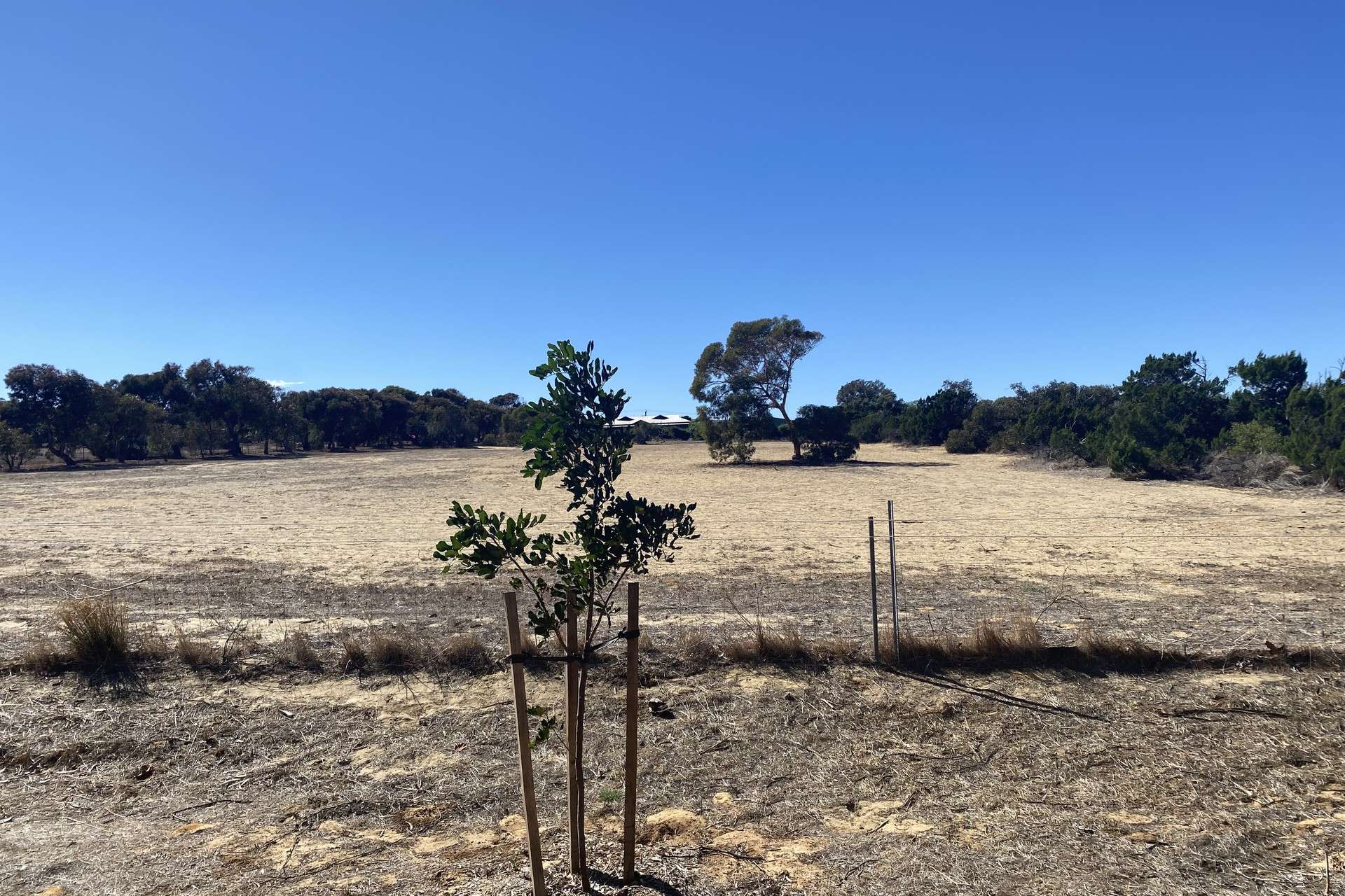 23A Trant Road, Moresby For Sale by Farmbuy.com - image 8