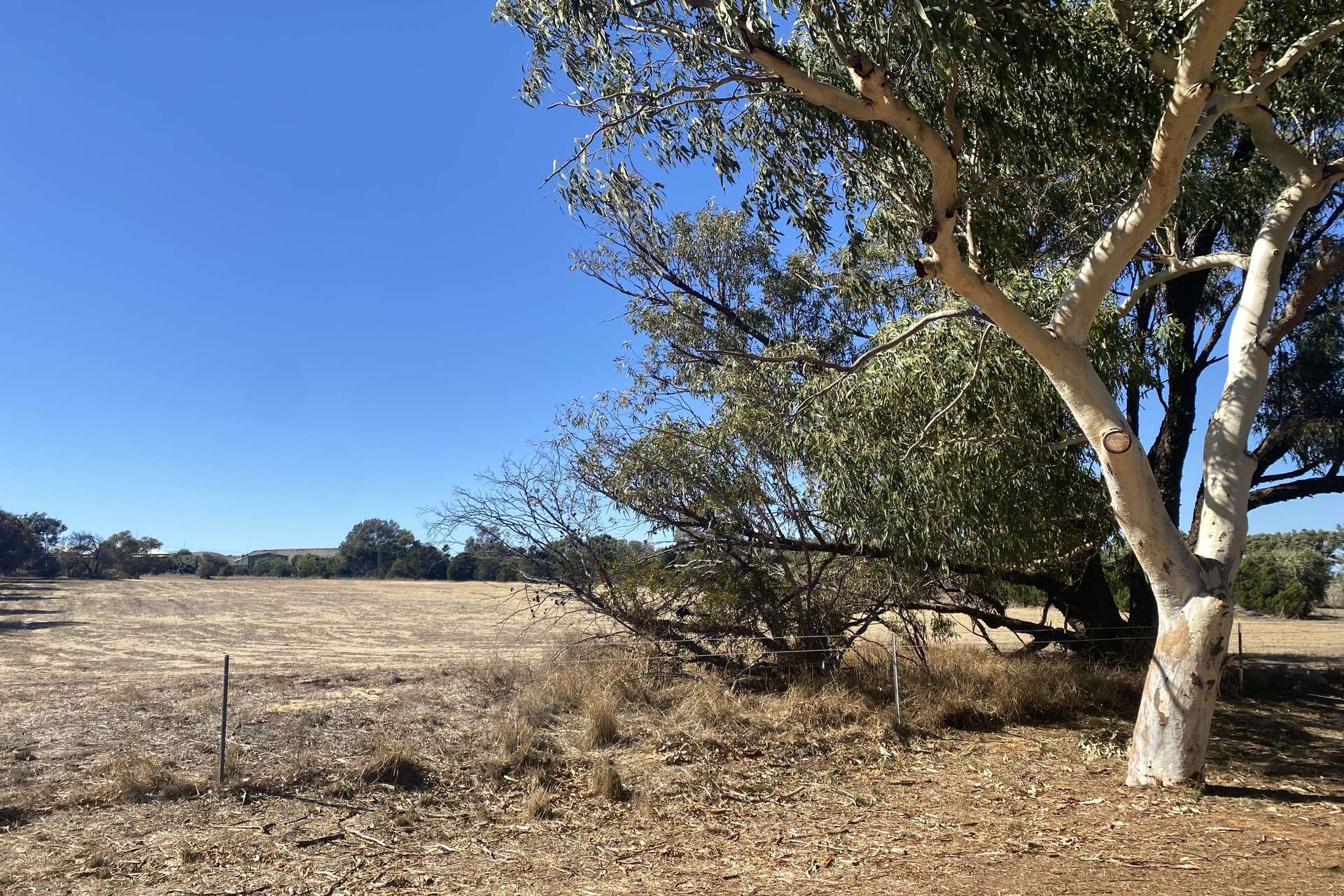 23A Trant Road, Moresby For Sale by Farmbuy.com - image 9