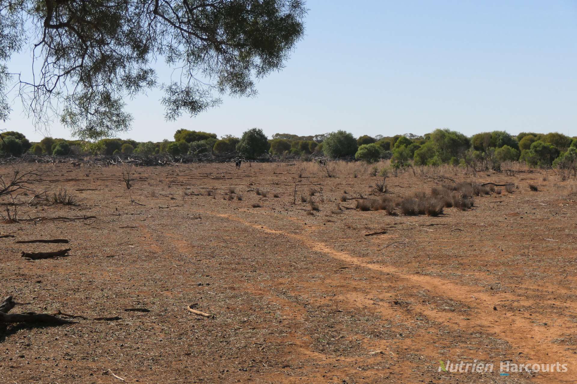 27 Singleton Drive, Cobar Auction by Farmbuy.com - image 24