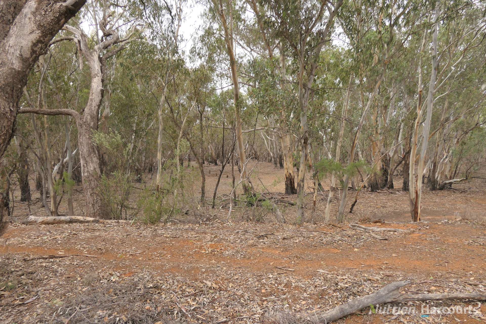 27 Singleton Drive, Cobar Auction by Farmbuy.com - image 3