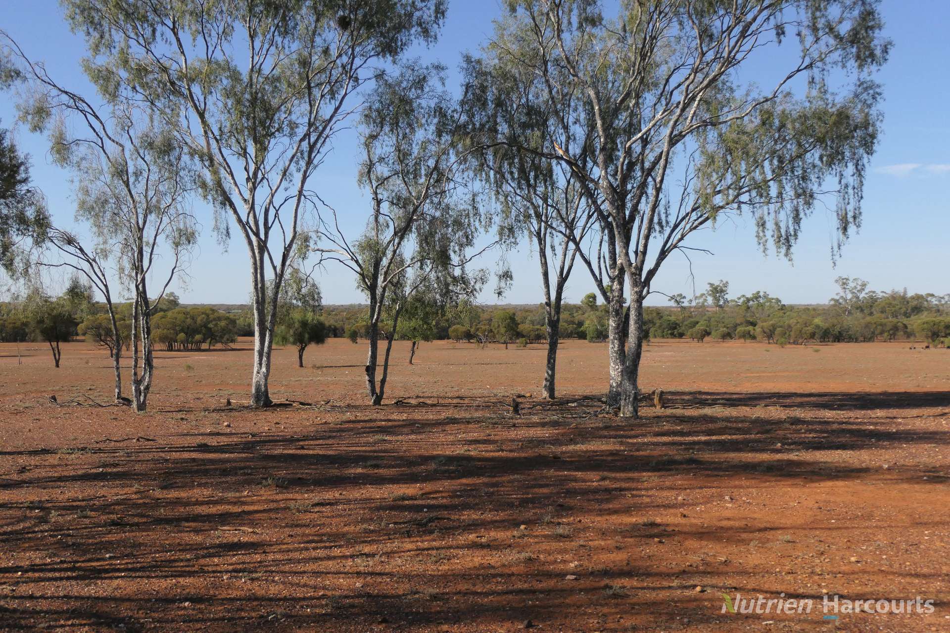 27 Singleton Drive, Cobar Auction by Farmbuy.com - image 7