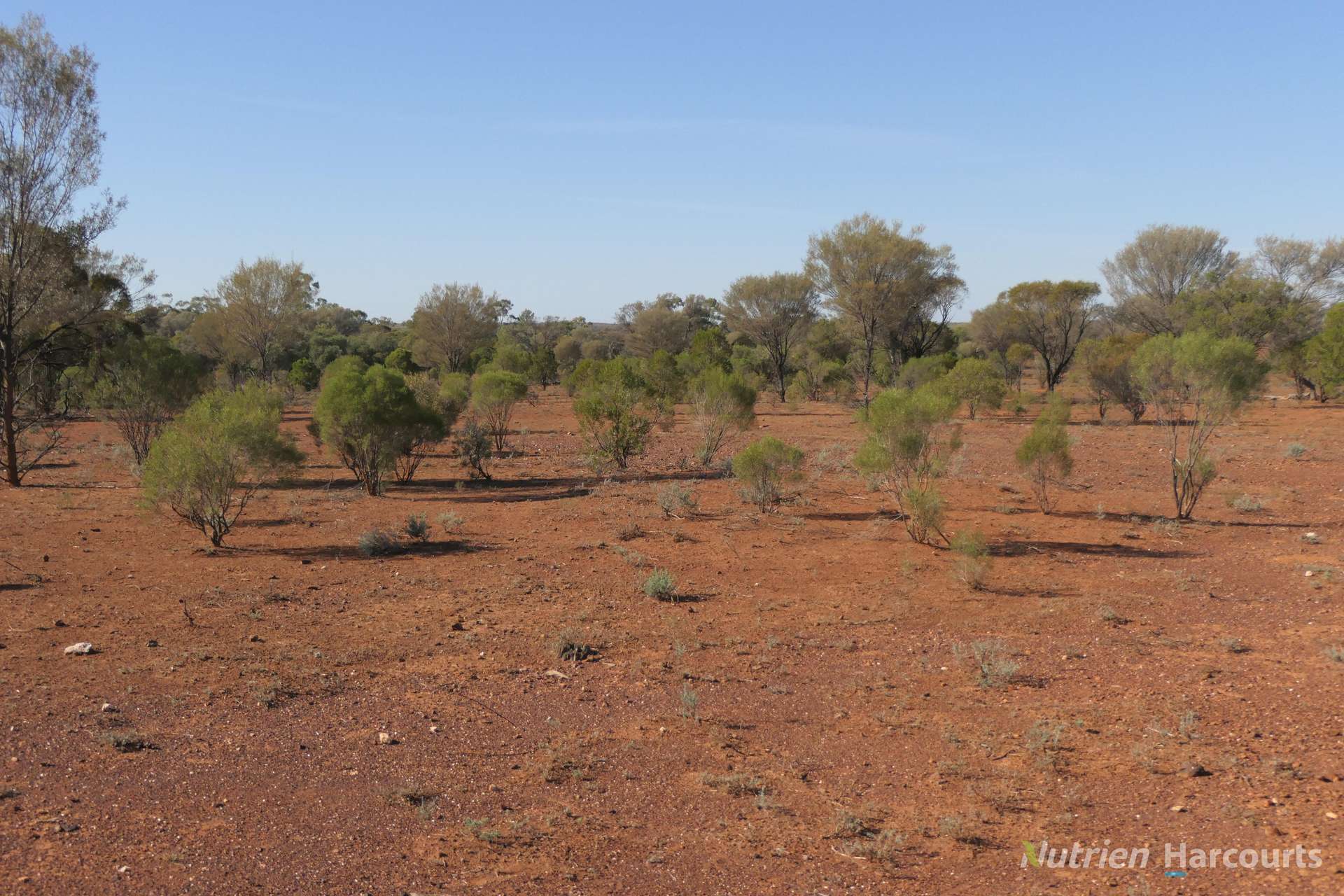 27 Singleton Drive, Cobar Auction by Farmbuy.com - image 6