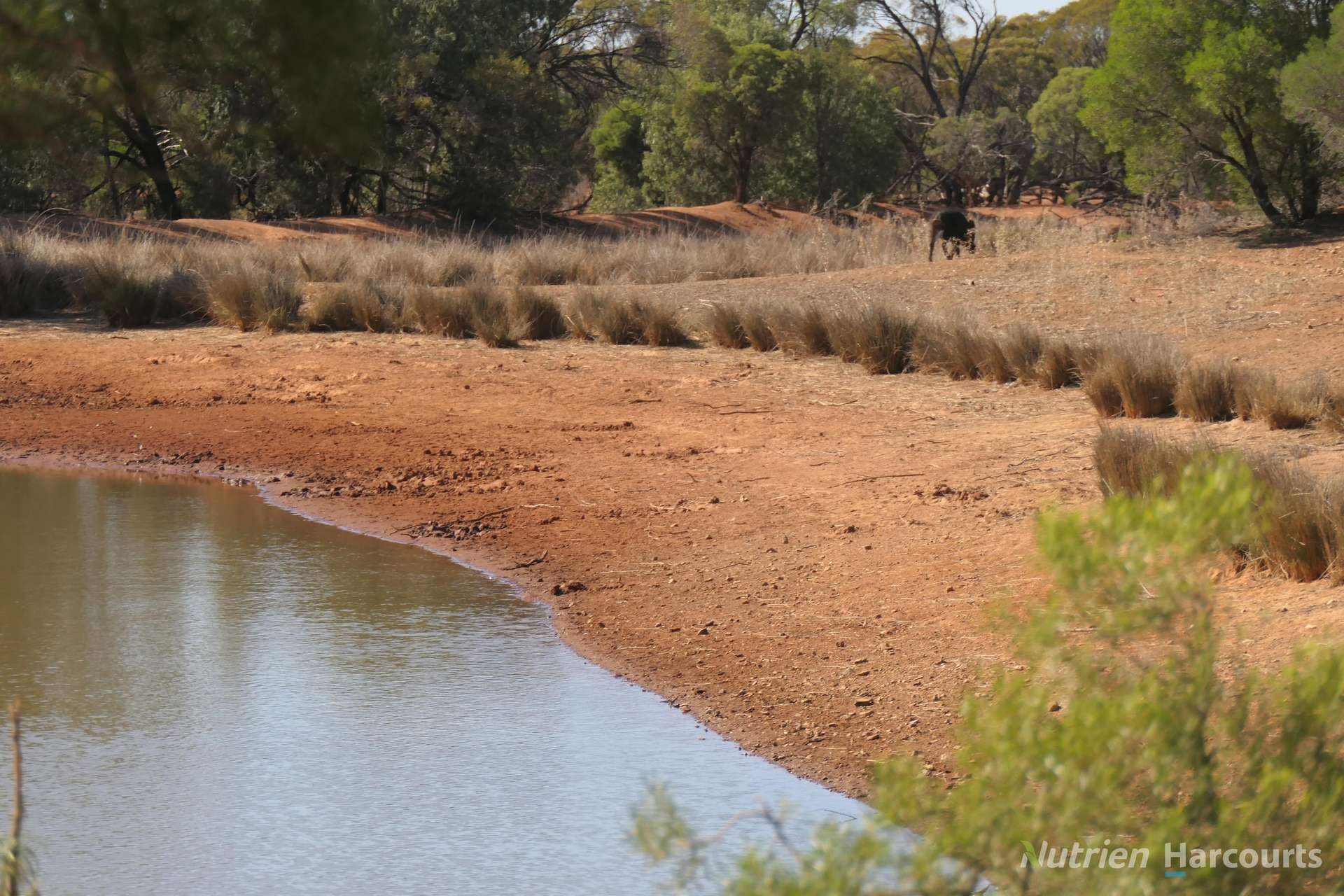 27 Singleton Drive, Cobar Auction by Farmbuy.com - image 19