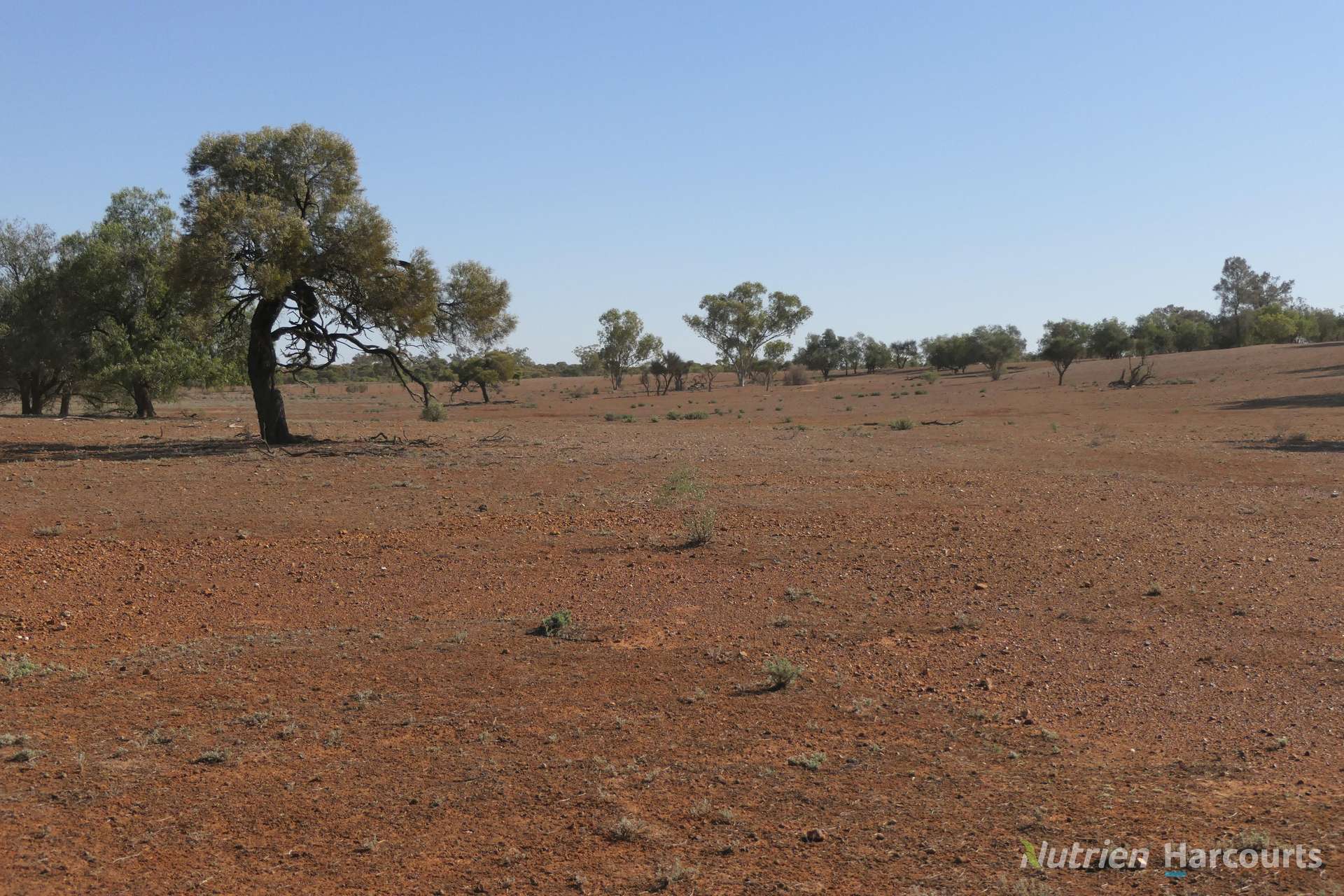 27 Singleton Drive, Cobar Auction by Farmbuy.com - image 12