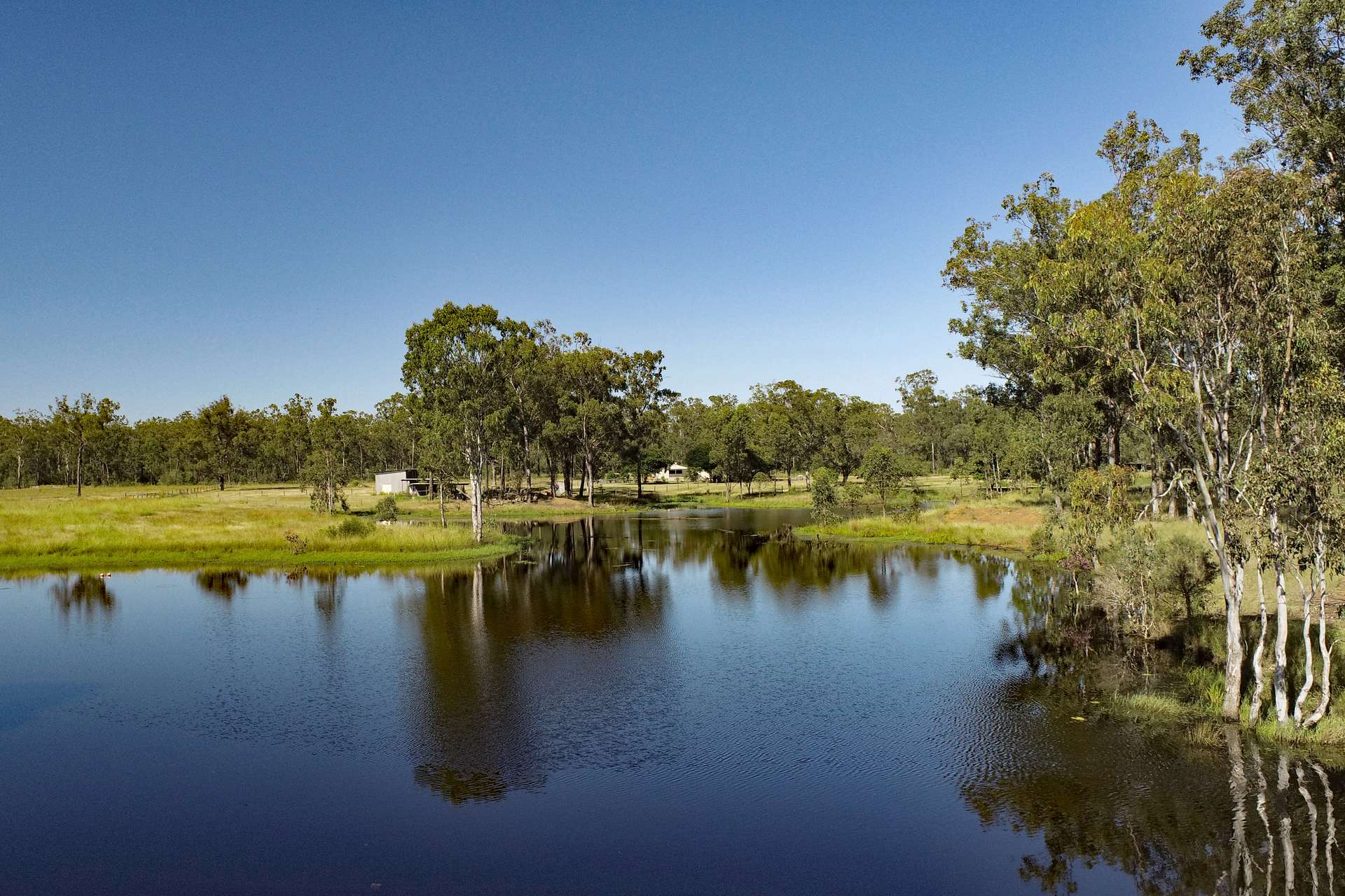 2956 Dawson Highway, Calliope For Sale by Farmbuy.com - image 7