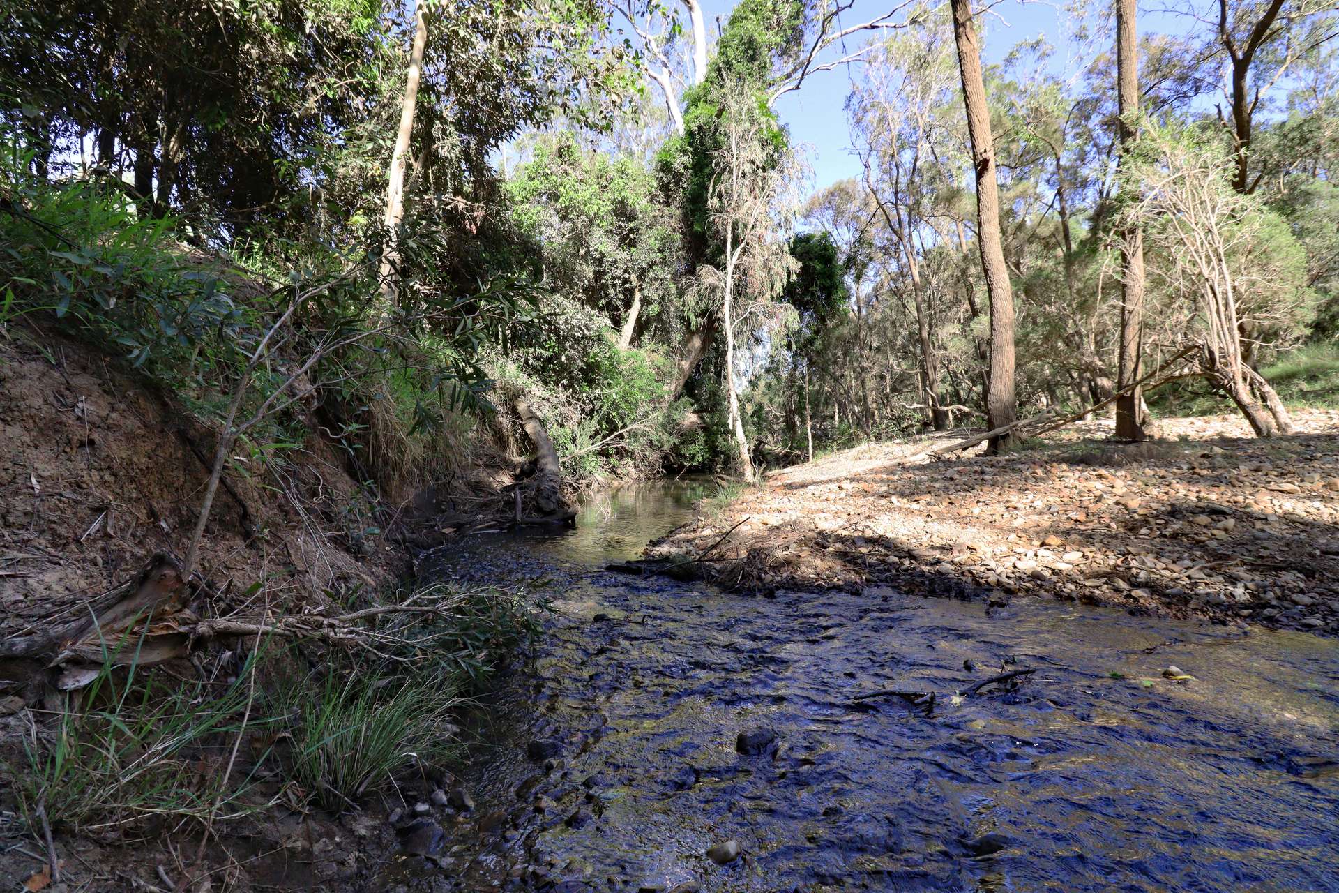 2956 Dawson Highway, Calliope For Sale by Farmbuy.com - image 3