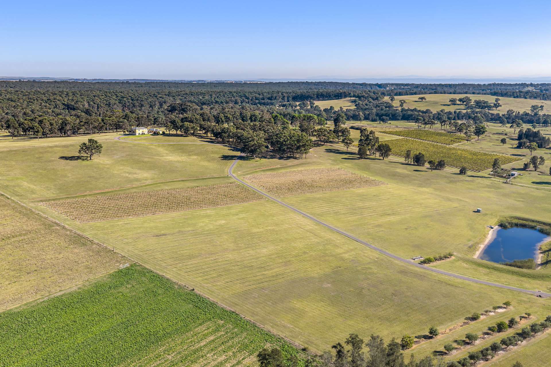 456 Hermitage Road, Pokolbin For Sale by Farmbuy.com - image 16