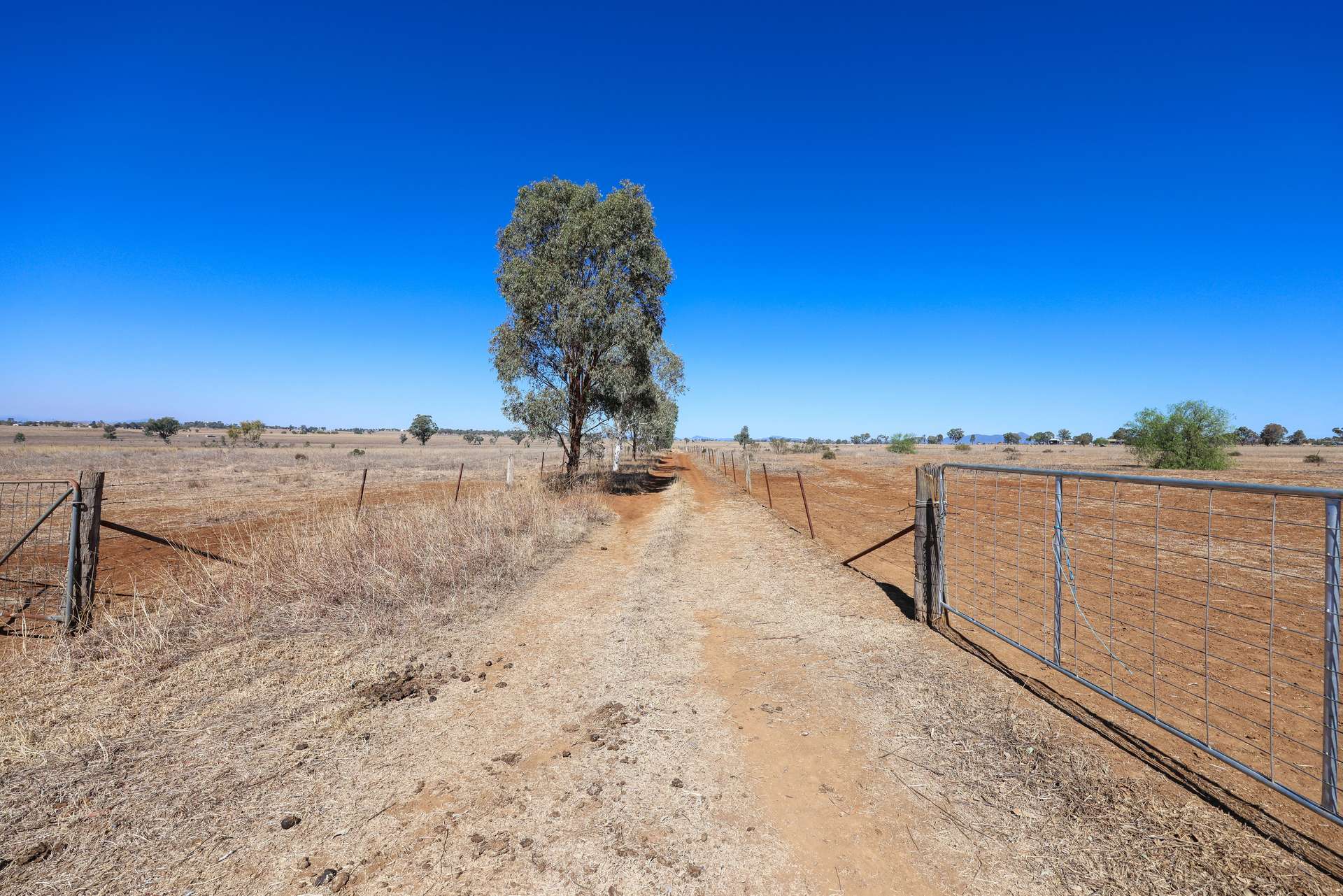 161 New Winton Road, Tamworth Auction by Farmbuy.com - image 7