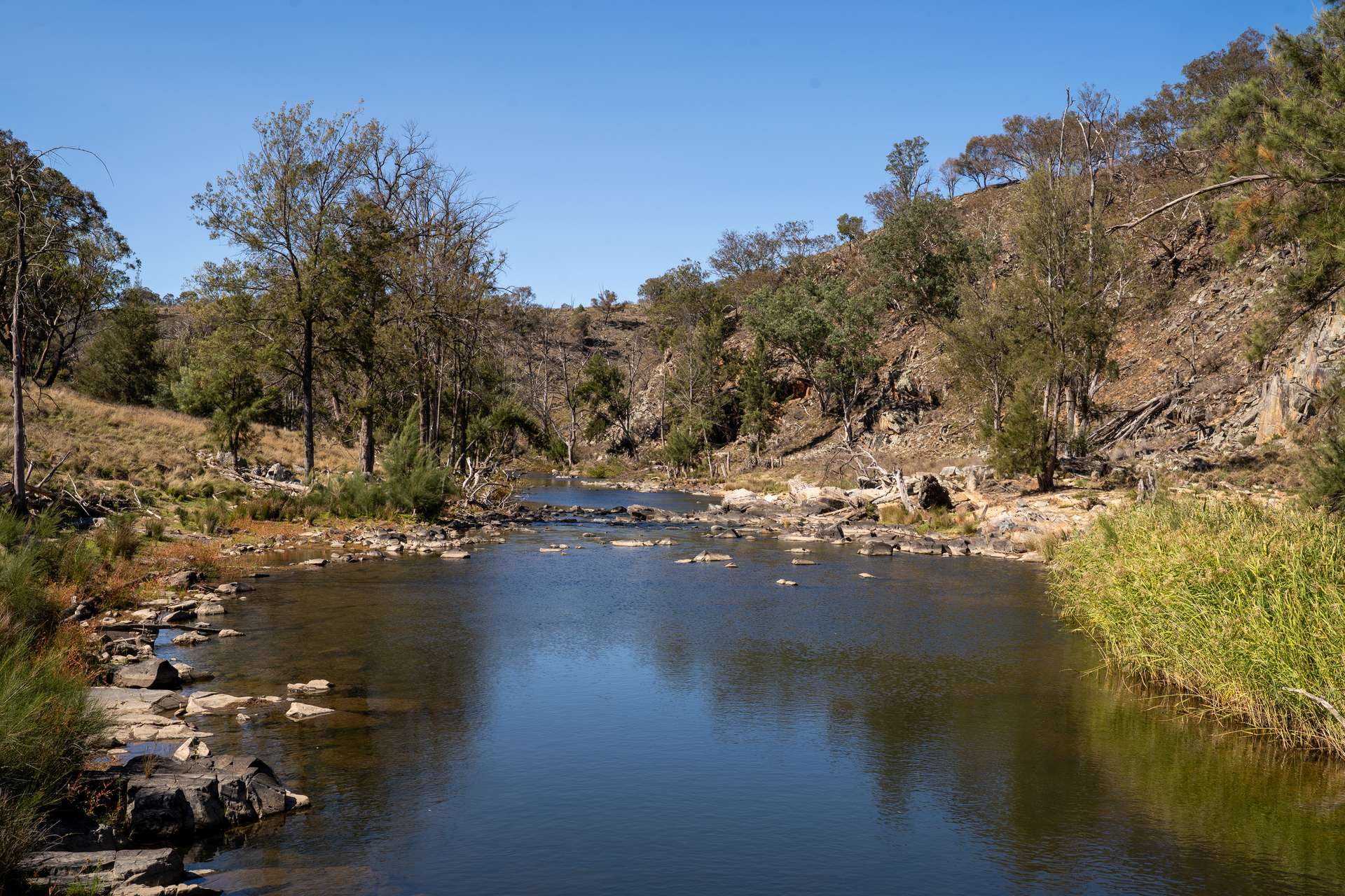 'Warra Creek' 652 Killongbutta Road, Killongbutta Via, Bathurst Auction by Farmbuy.com - image 4