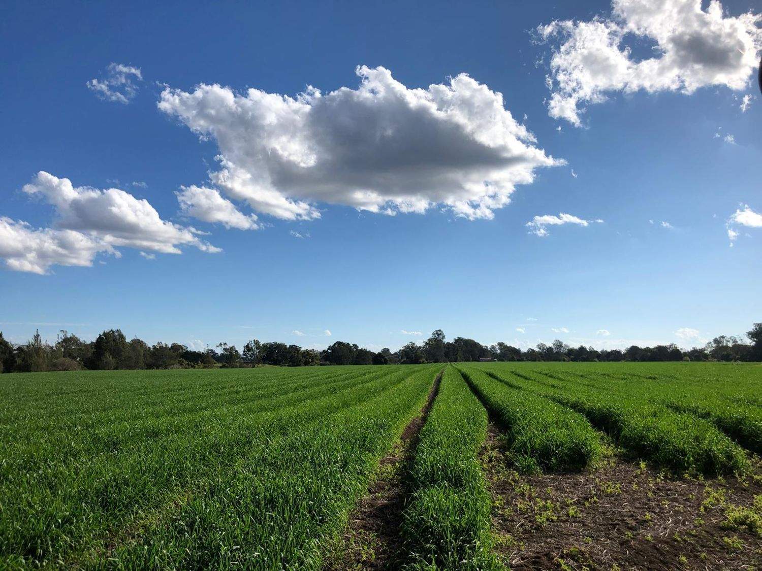 30 Lees Lane, Tatham For Sale by Farmbuy.com - image 21