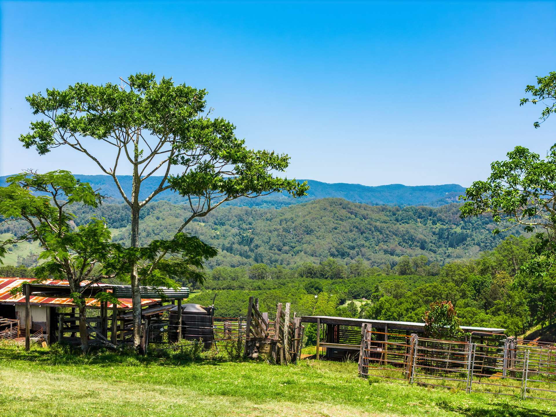 362 Koonorigan Road, Koonorigan For Sale by Farmbuy.com - image 31