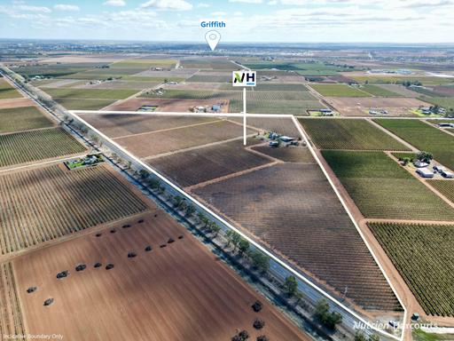 Farm Auction - NSW - Bilbul - 2680 - Modern Rural Living with Space, Style & Income Potential 