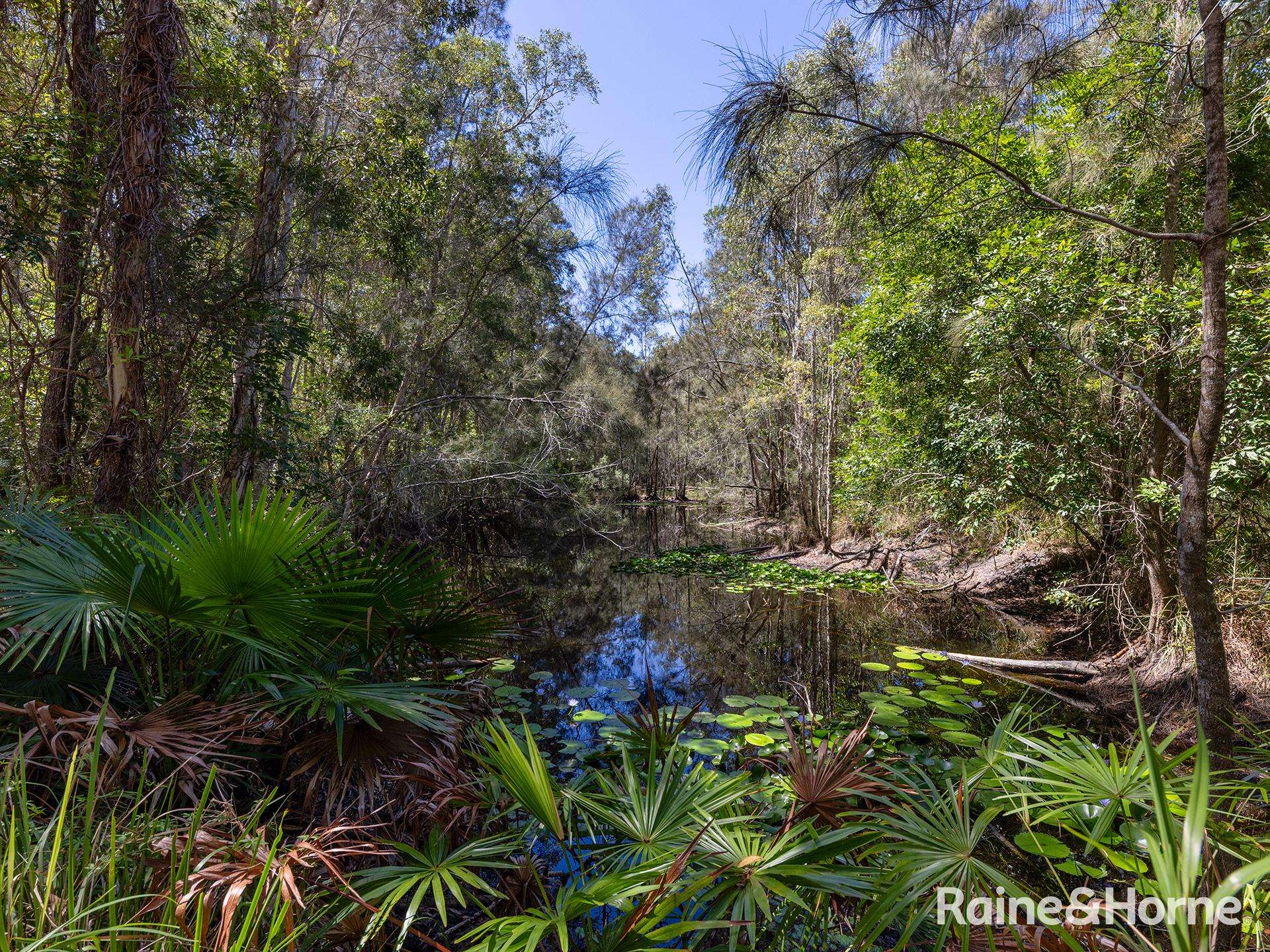 870 Iluka Road, The Freshwater Auction by Farmbuy.com - image 11