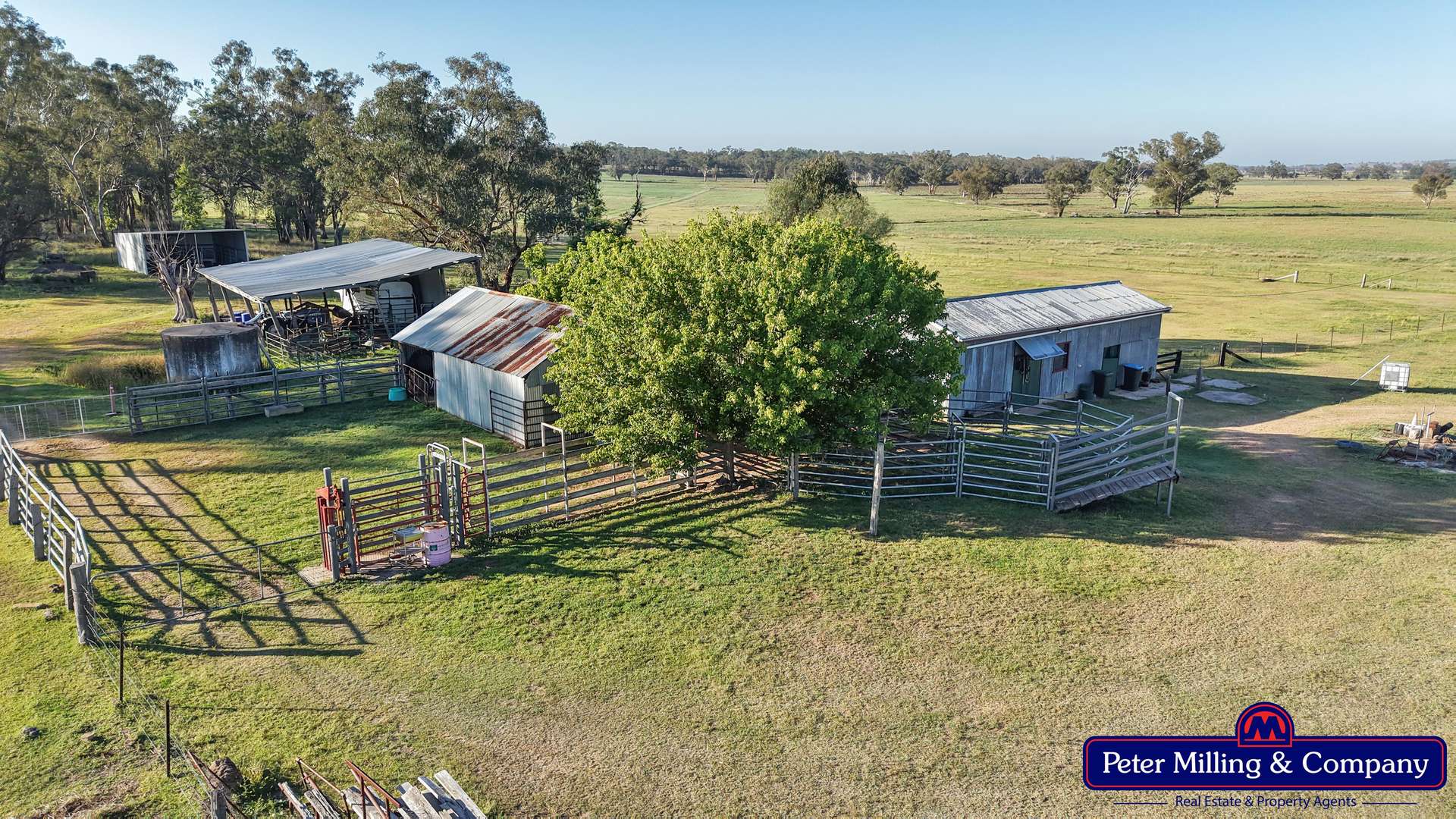 59 Piambra Road, Binnaway Auction by Farmbuy.com - image 6