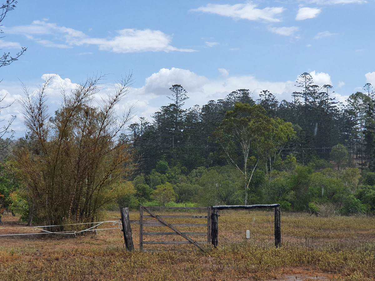 29 East River Pines Drive, Delan Auction by Farmbuy.com - image 32