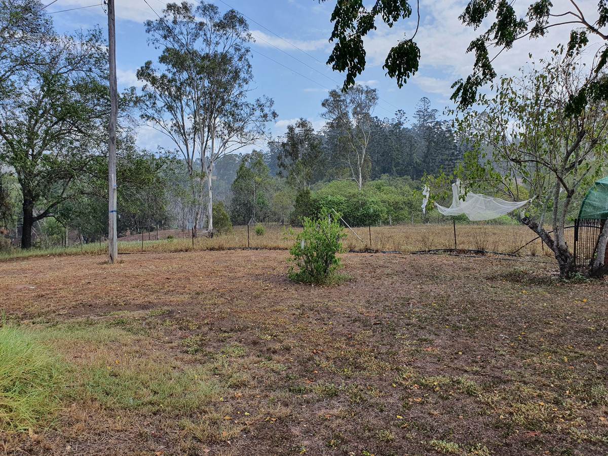 29 East River Pines Drive, Delan Auction by Farmbuy.com - image 21