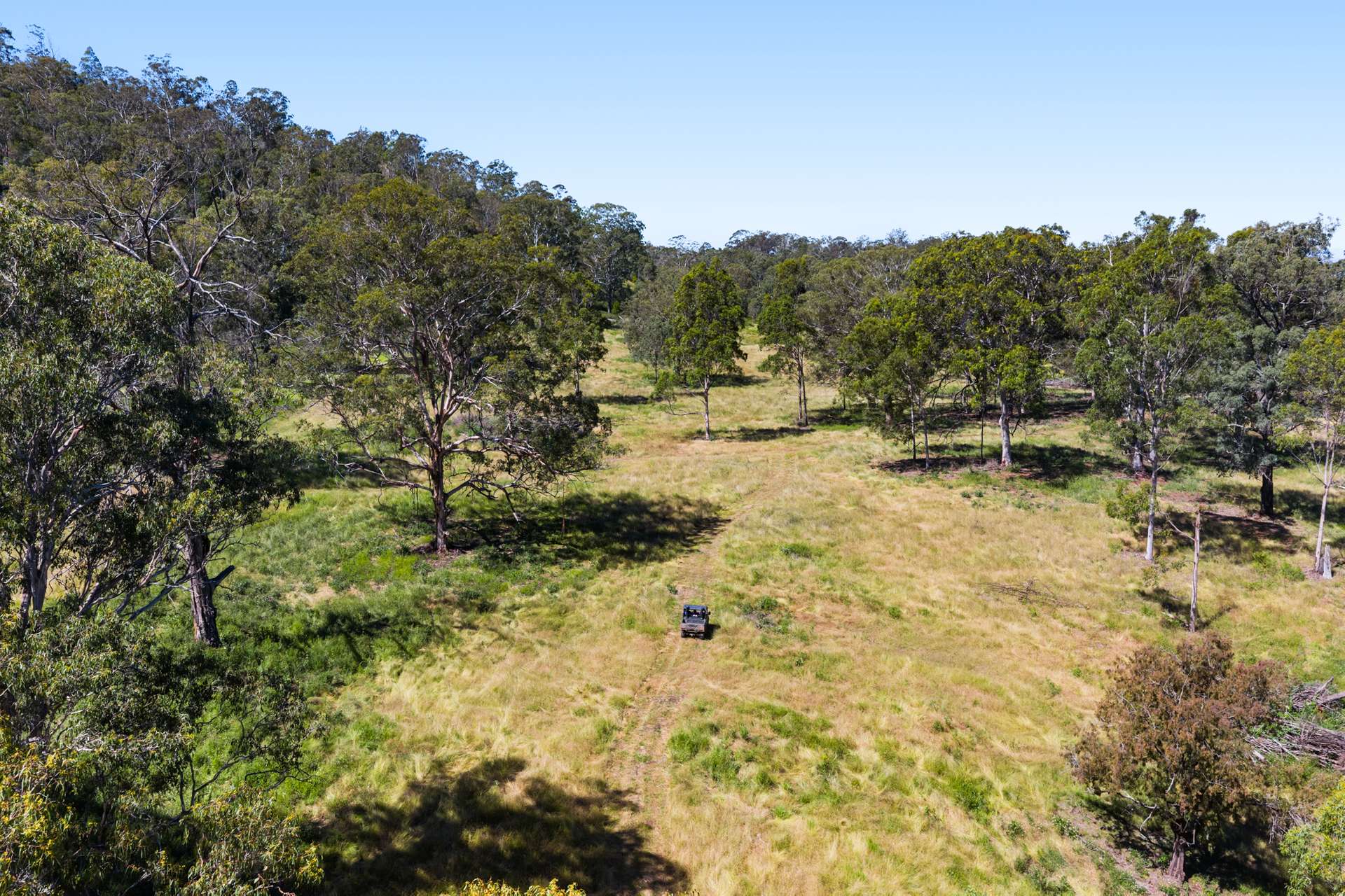 "Bellbird Ridge" Lot 445 Ted Road, Geham Auction by Farmbuy.com - image 21