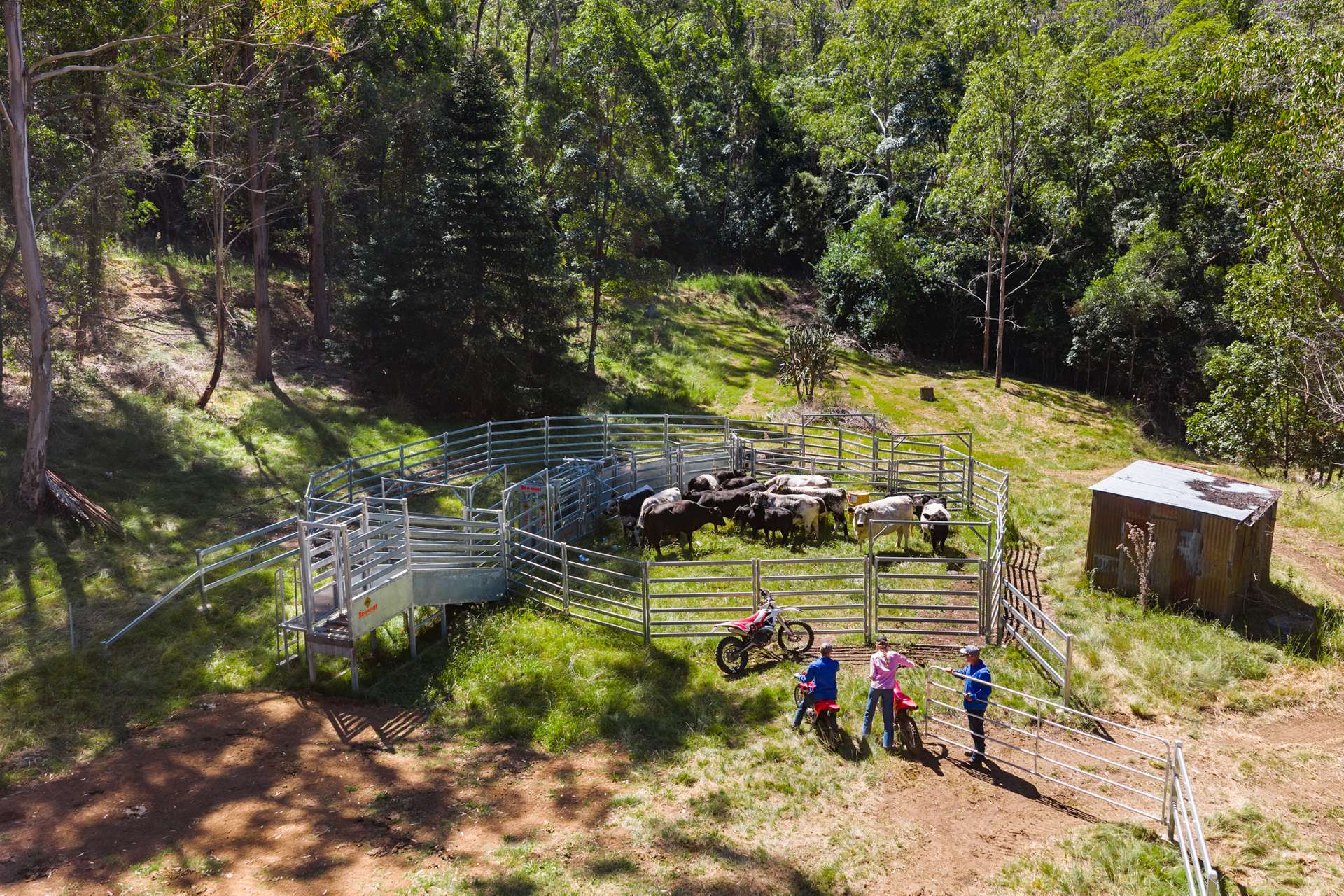 "Bellbird Ridge" Lot 445 Ted Road, Geham Auction by Farmbuy.com - image 13