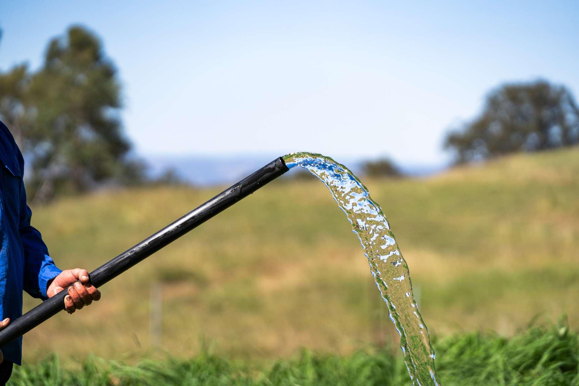 "Bellbird Ridge" Lot 445 Ted Road, Geham Auction by Farmbuy.com - image 11