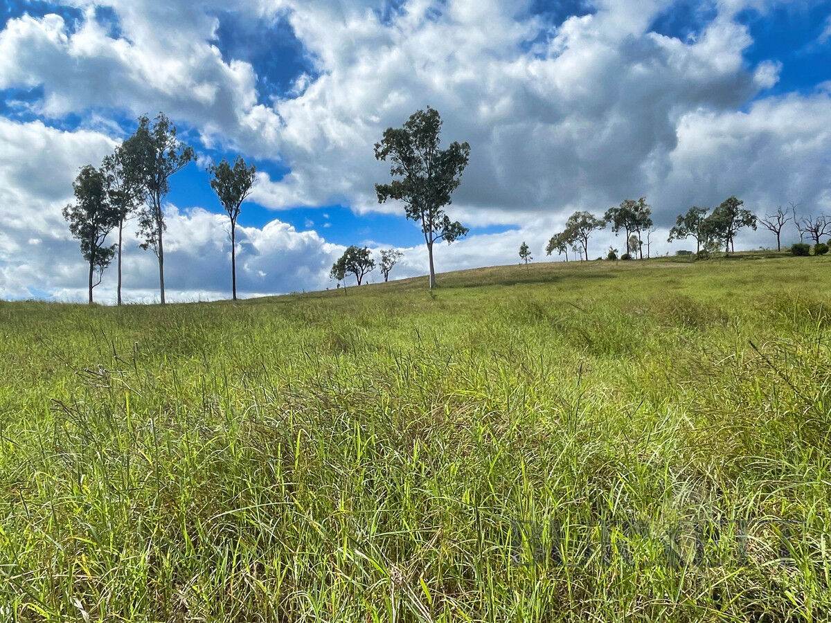 595 Walla Road, Morganville For Sale by Farmbuy.com - image 9