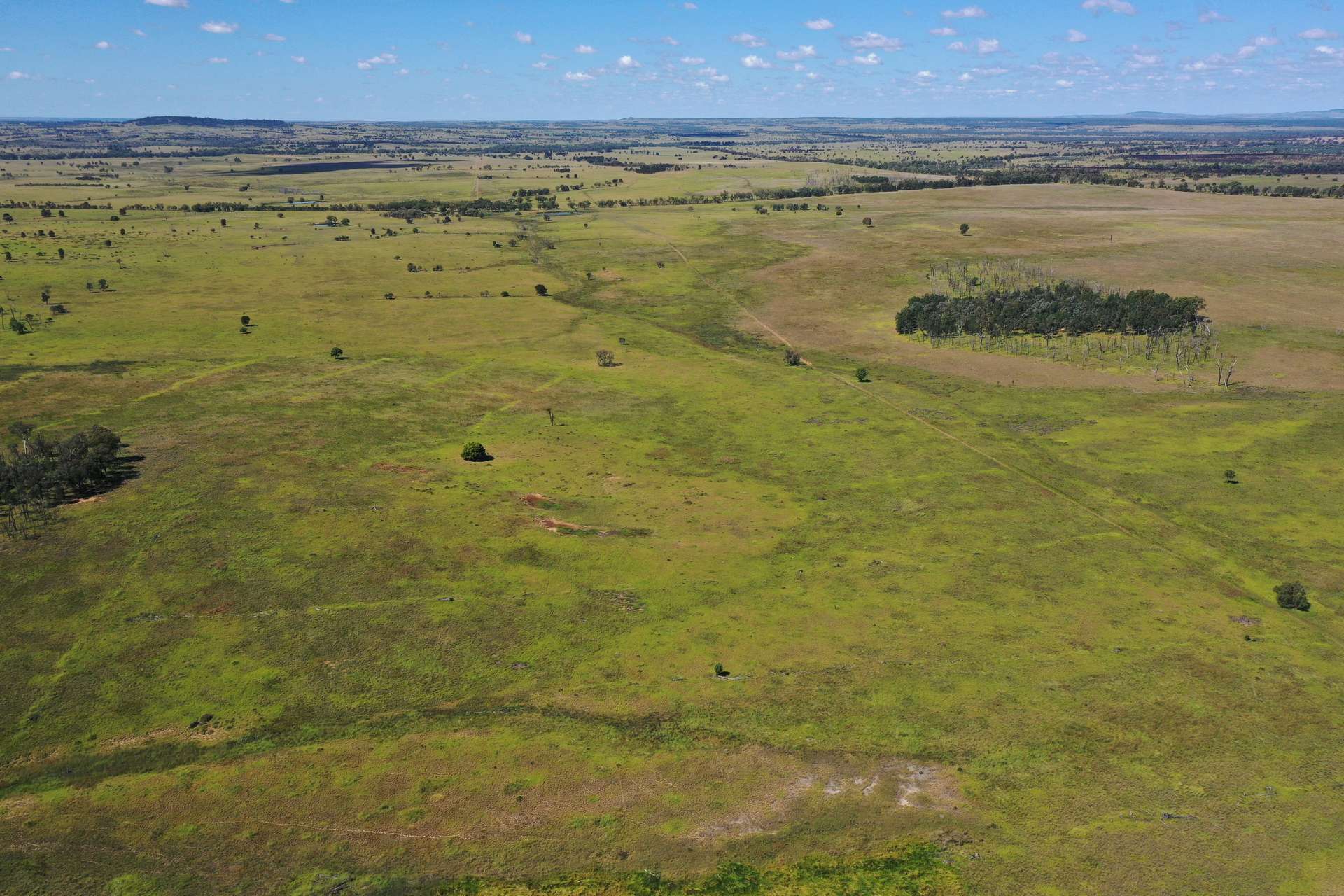 236 Tiger Scrub Road, Roma Auction by Farmbuy.com - image 10