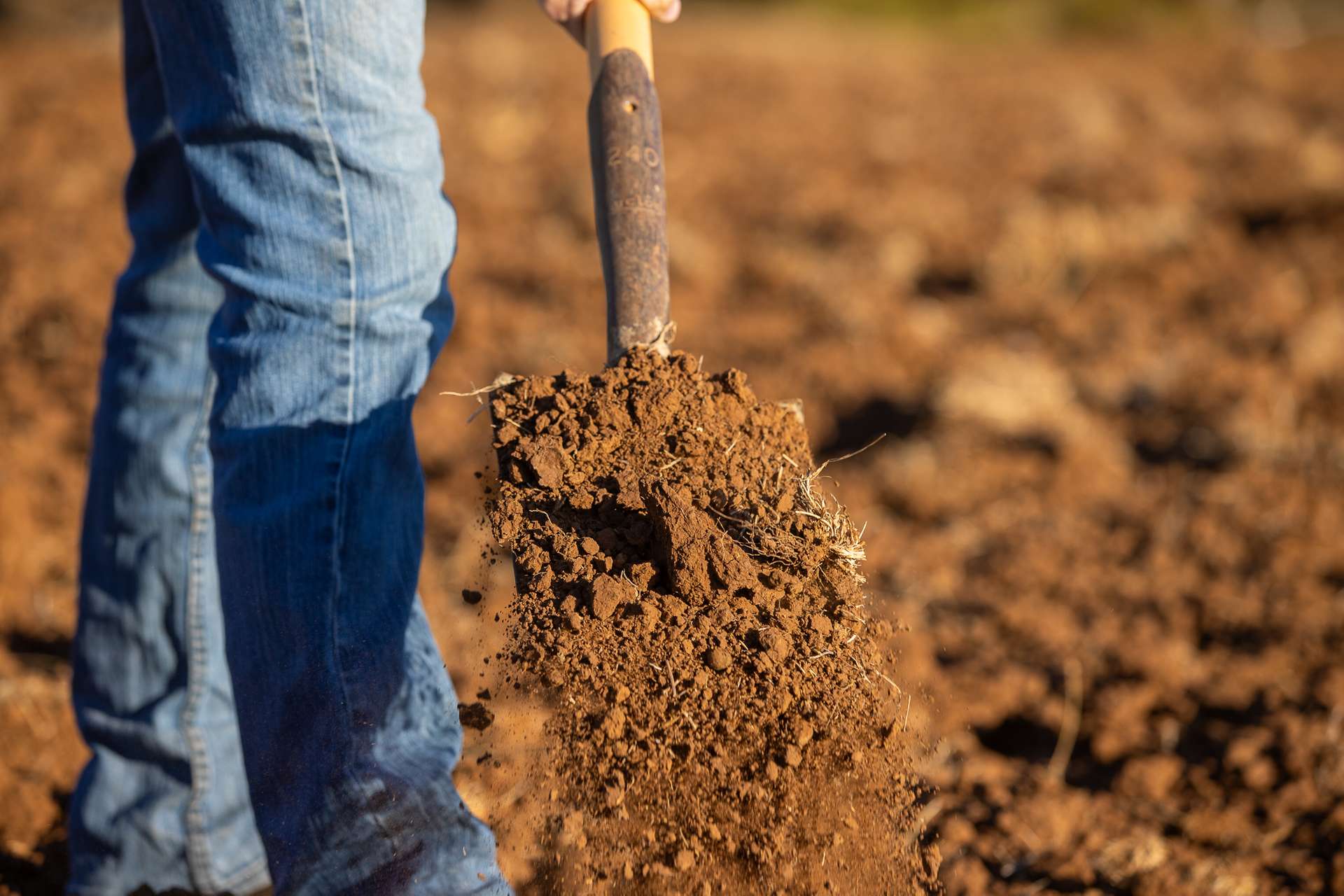 823 Eulourie Road, Bingara Auction by Farmbuy.com - image 12
