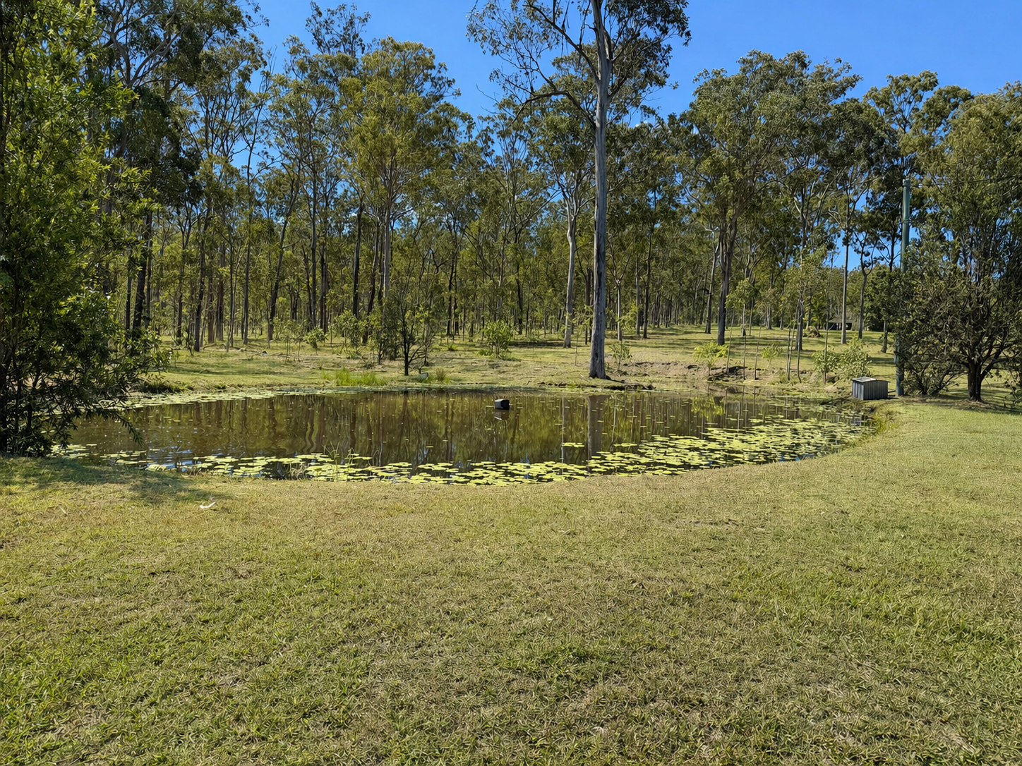 301 Power Road, Widgee For Sale by Farmbuy.com - image 29