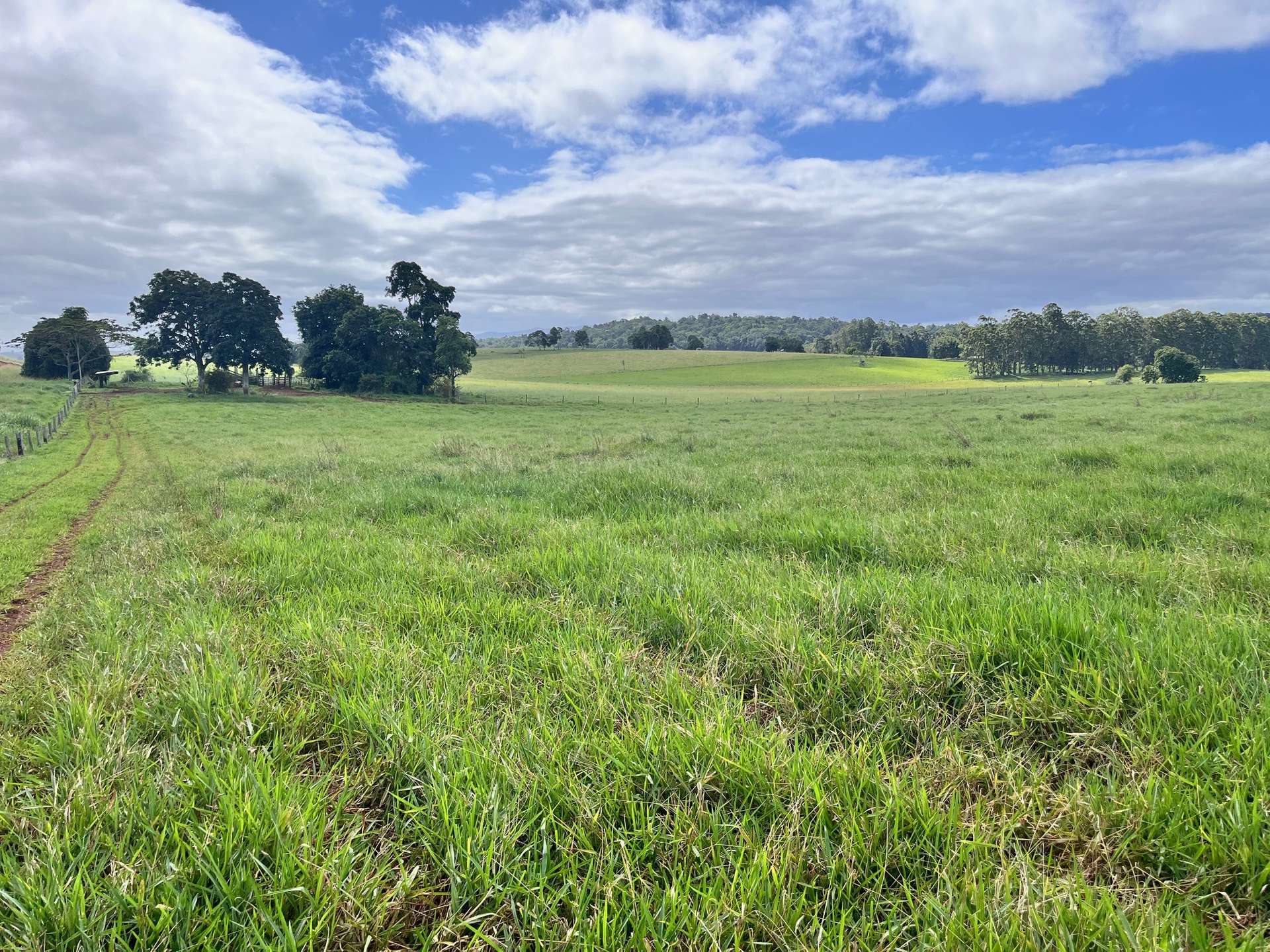 Lot 2 Lake Barrine Road, Lake Eacham For Sale by Farmbuy.com - image 11
