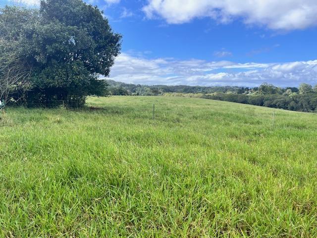 Lot 2 Lake Barrine Road, Lake Eacham For Sale by Farmbuy.com - image 9