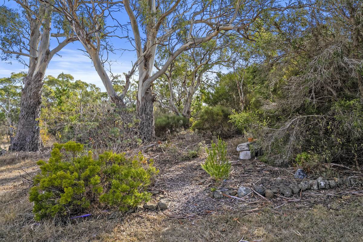 27 Francis Street, Swansea For Sale by Farmbuy.com - image 24