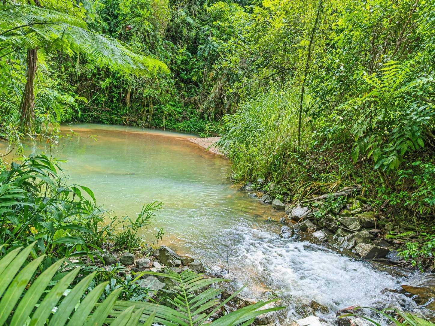 6 Lloyd Bell Road, Merryburn For Sale by Farmbuy.com - image 5