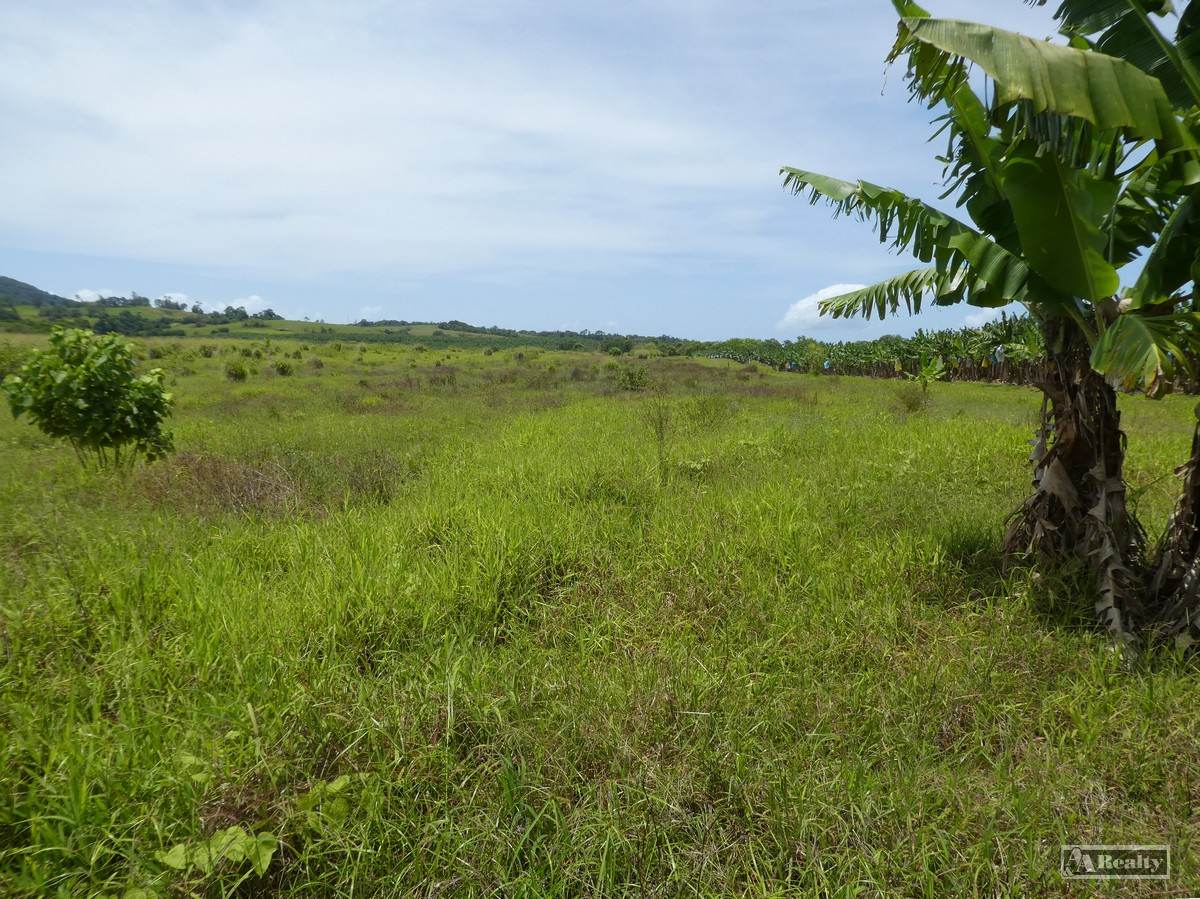 Part Of Lot 3 Jubilee Road, Eaton For Sale by Farmbuy.com - image 4