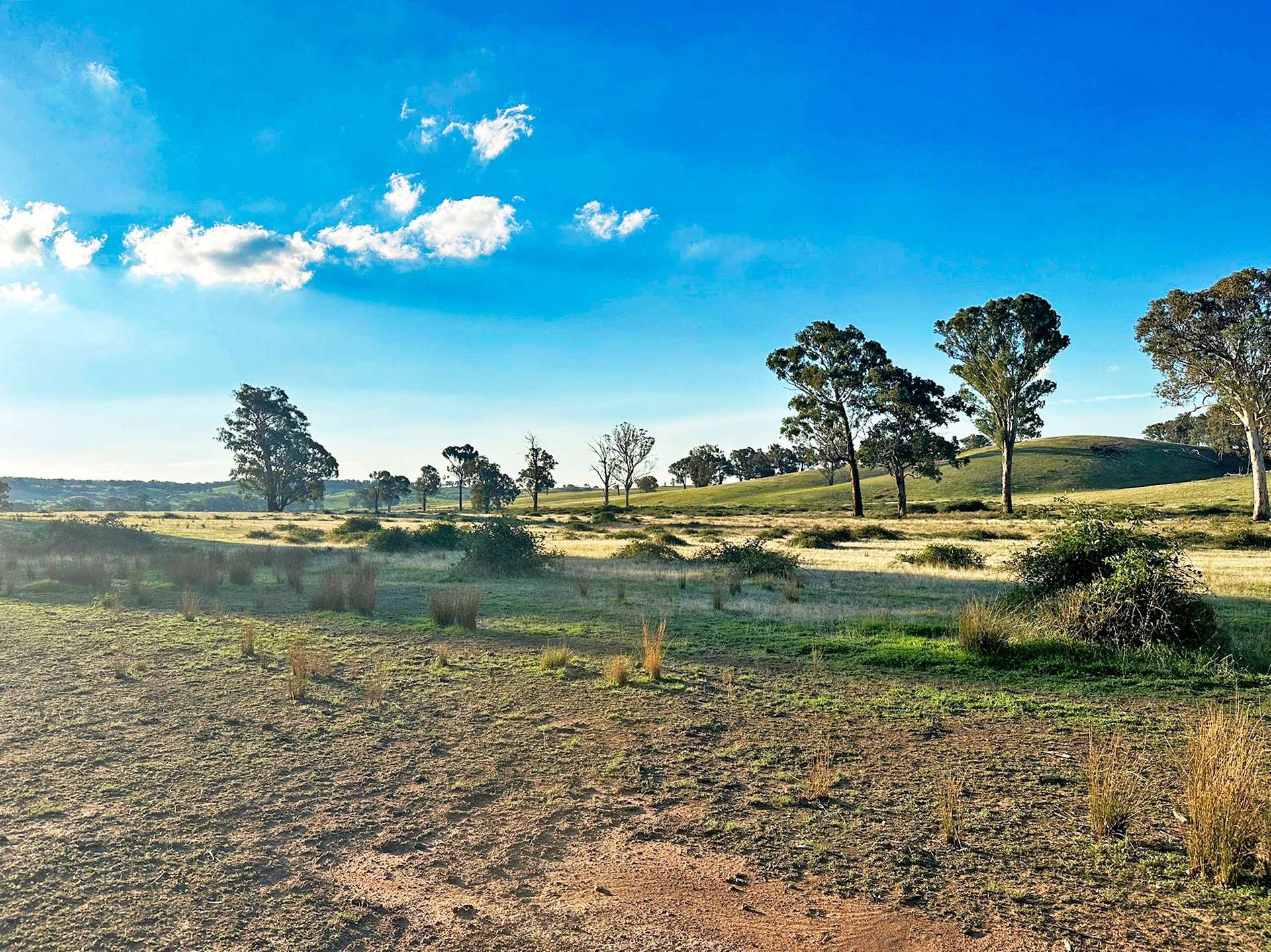 1277 Cheviot Hills Road, Wagga Wagga For Sale by Farmbuy.com - image 20