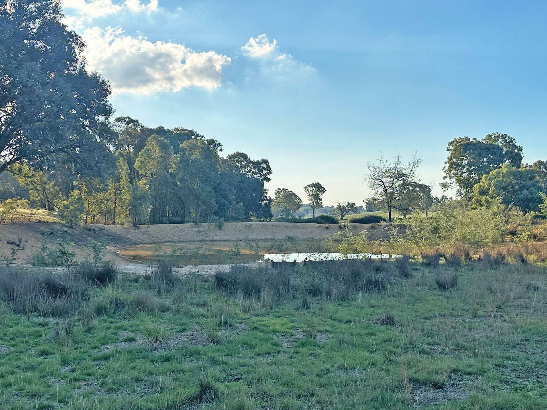 1277 Cheviot Hills Road, Wagga Wagga For Sale by Farmbuy.com - image 21