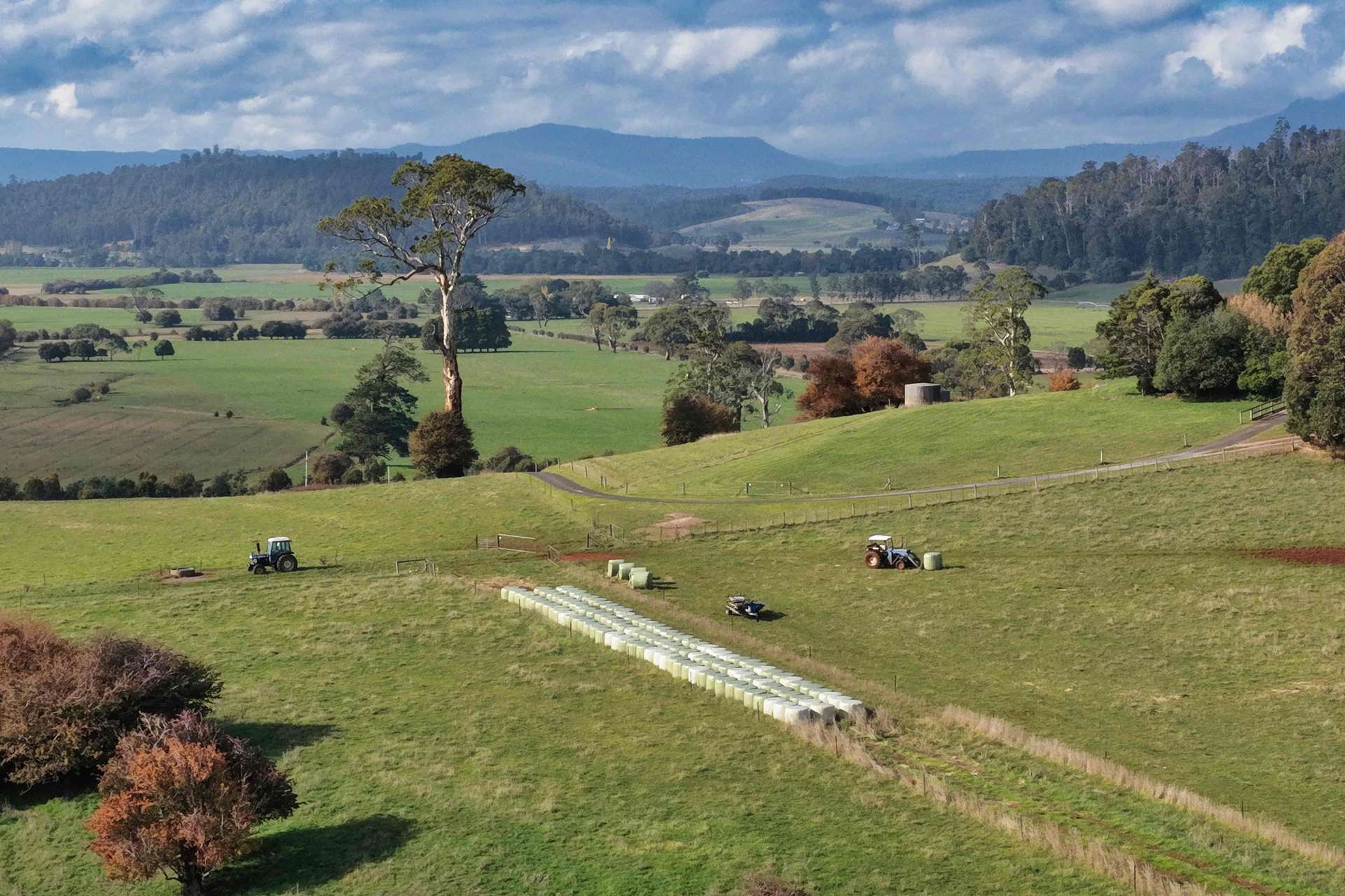 17 Lemana Road, Red Hills For Sale by Farmbuy.com - image 11