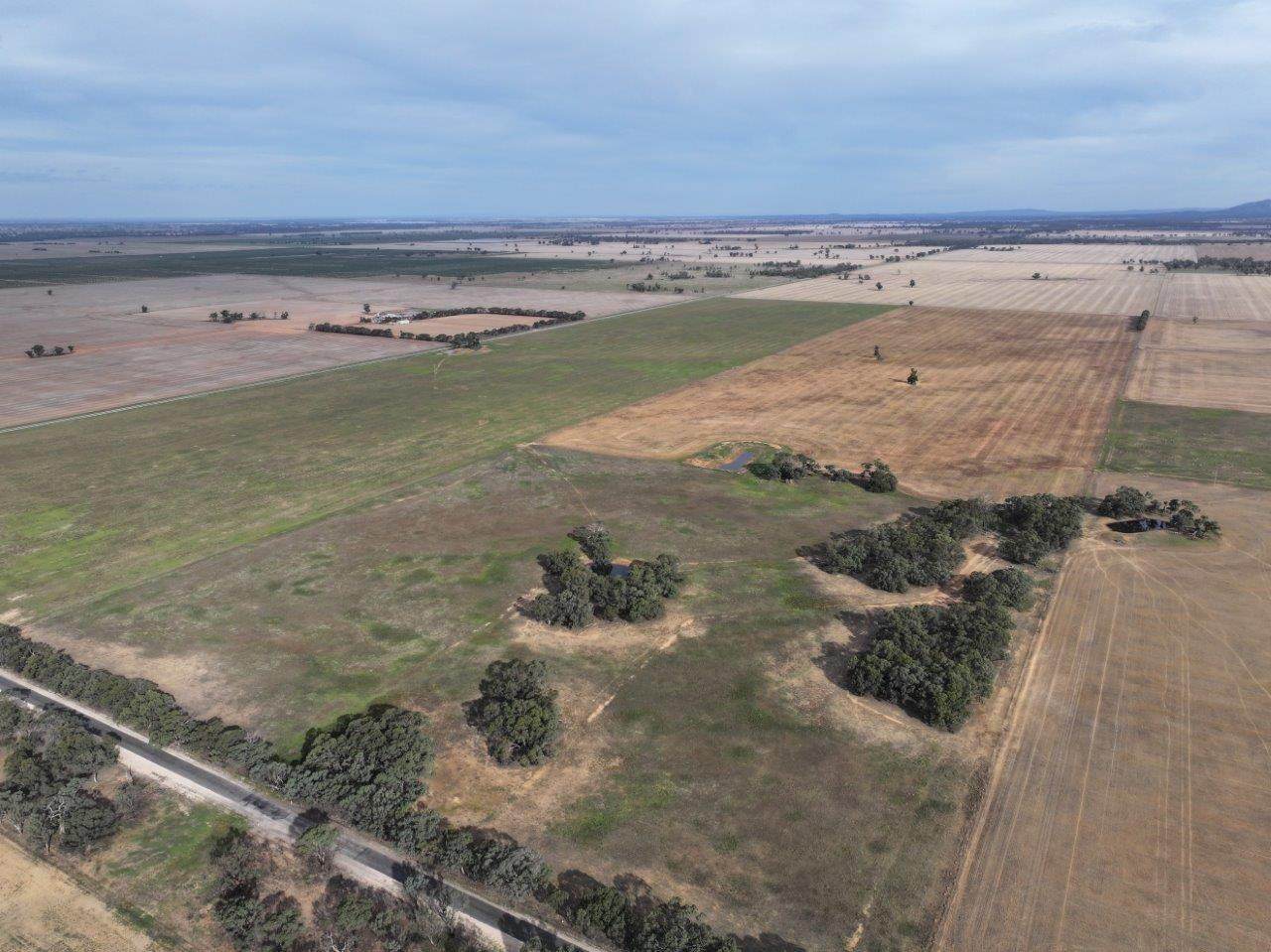 Lot CA, 157 Borung Hurstwood Road, Borung For Sale by Farmbuy.com - image 6