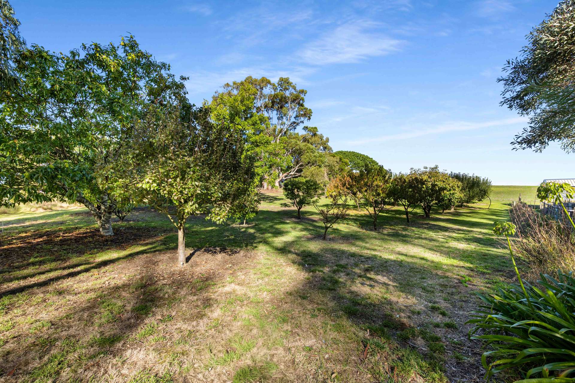 228 Ruwoldt Road, Yahl For Sale by Farmbuy.com - image 27
