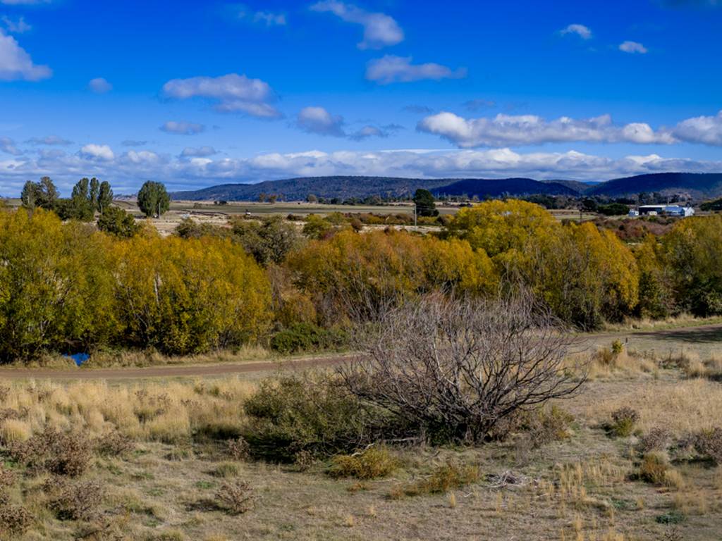 51 King Street, Campbell Town TAS 7210