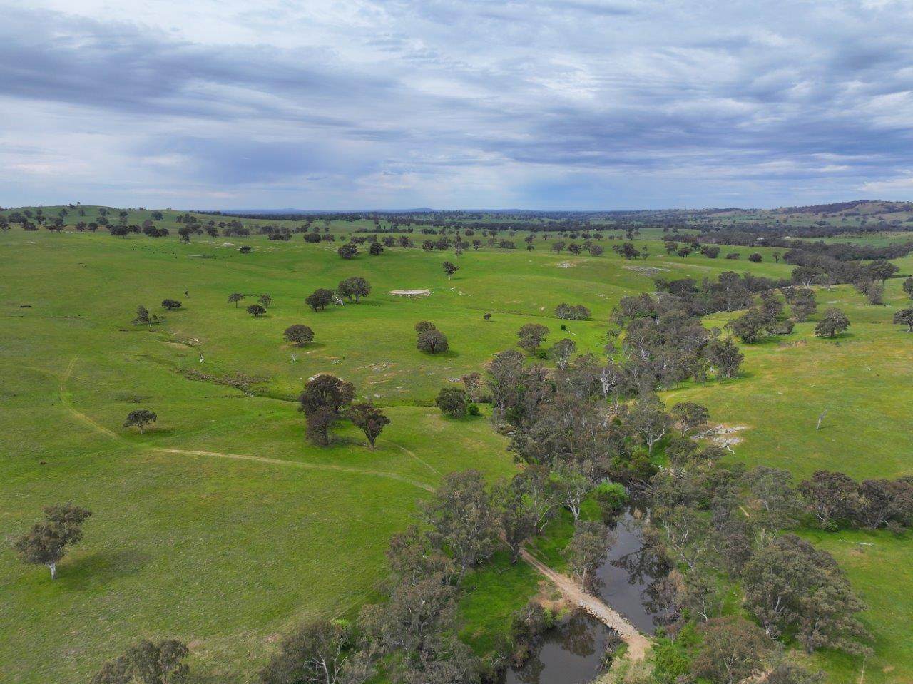 230 Metcalfe-Elphinstone Road, Elphinstone For Sale by Farmbuy.com - image 16